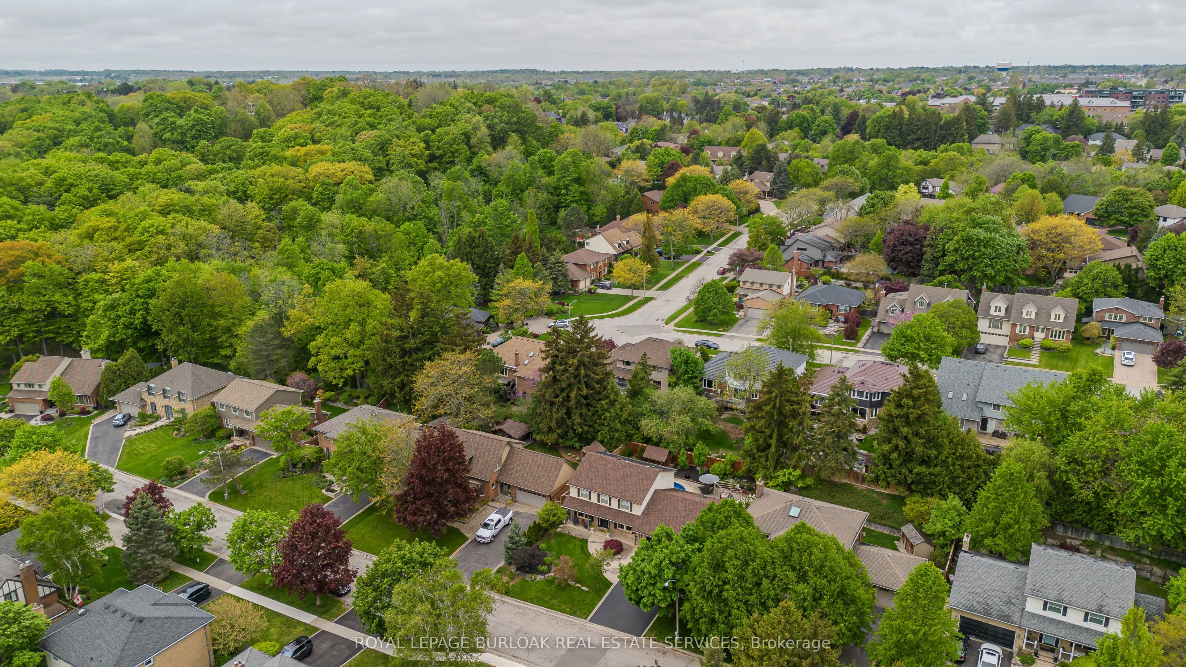 6 Carl Crescent