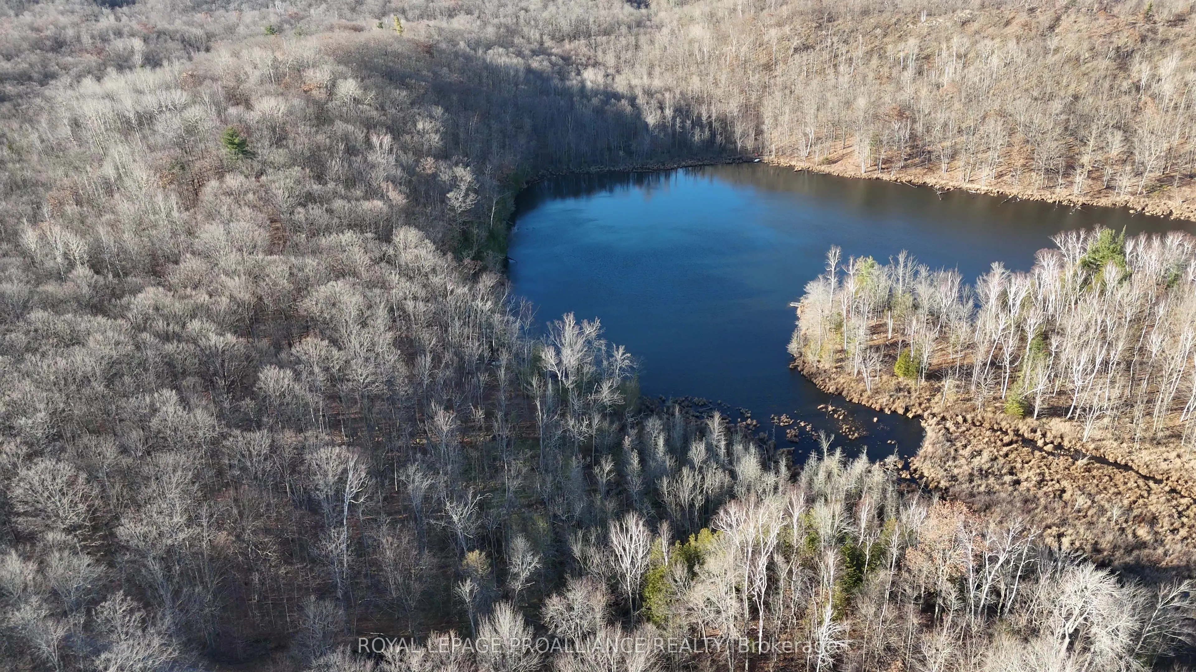 1098 Twin Sisters Lake Road N