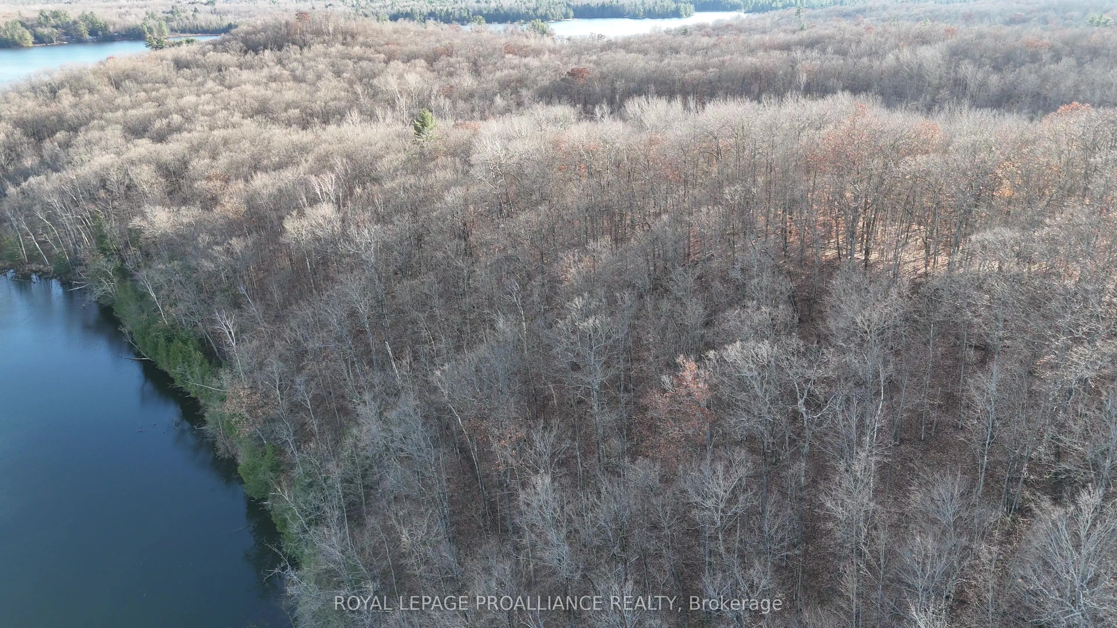 1098 Twin Sisters Lake Road N