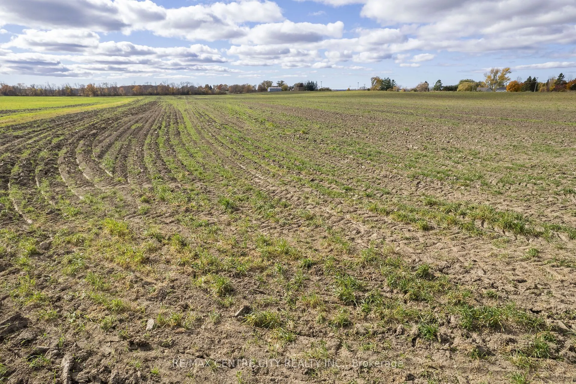 88 Third Concession Road