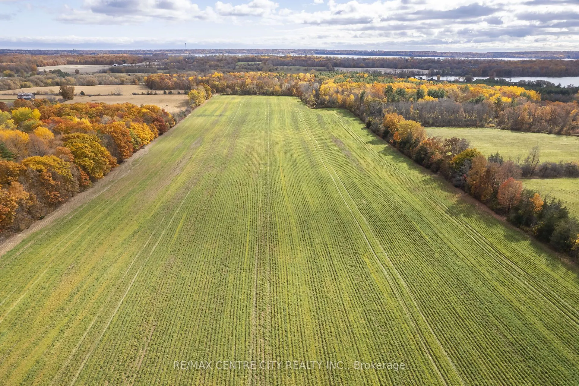 88 Third Concession Road