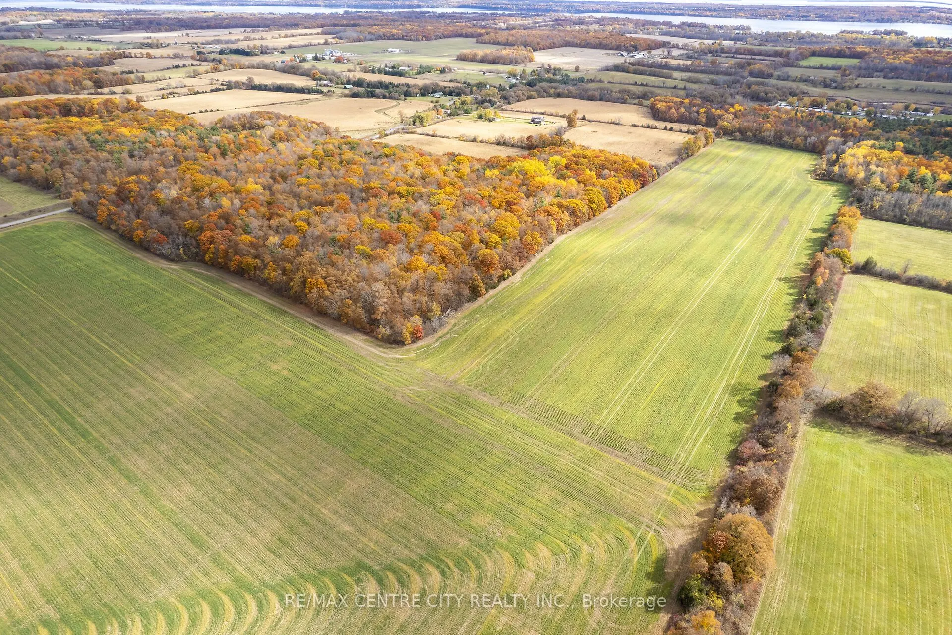 88 Third Concession Road