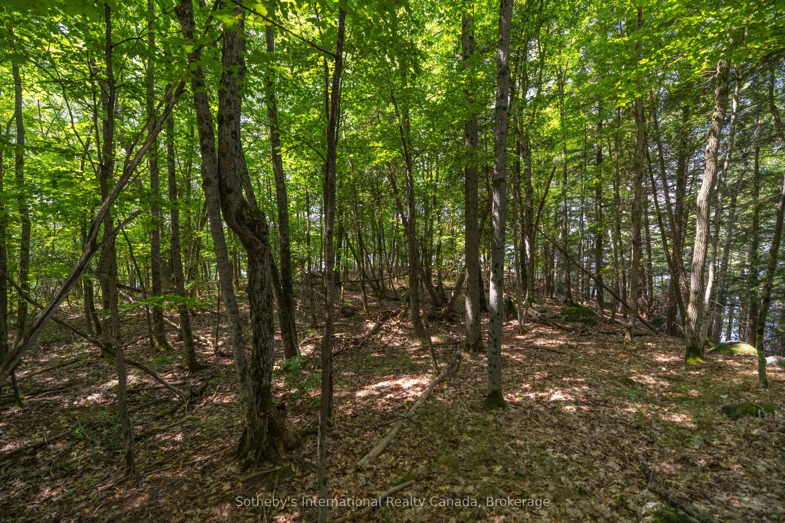1124 Coate Road, #8