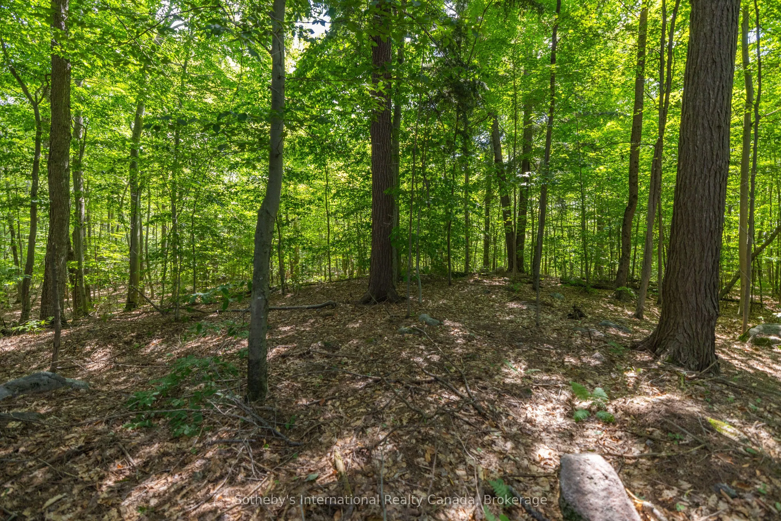 1124 Coate Road, #8