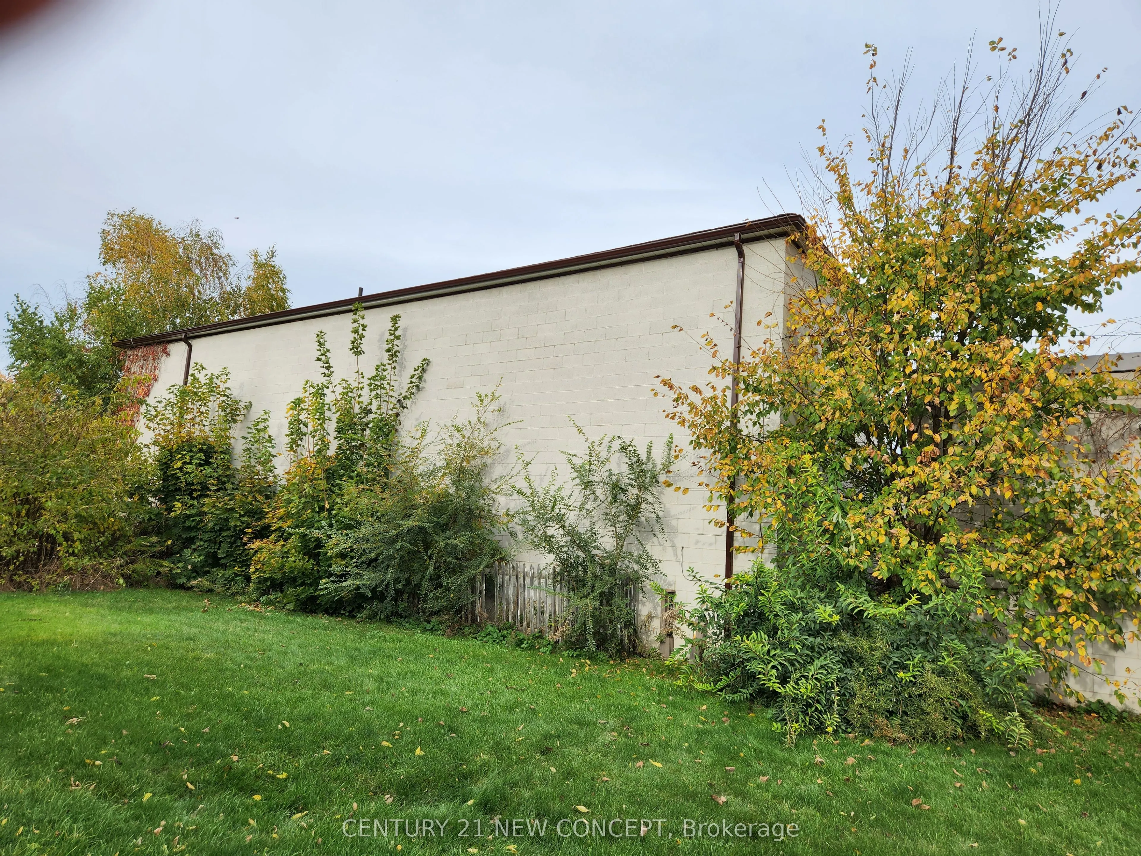 12 Caradoc Street N