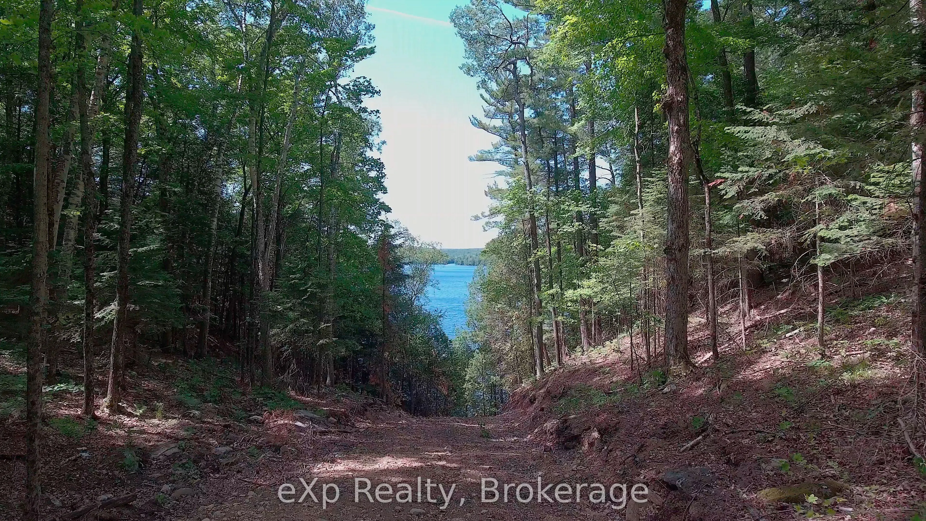 Lot 5 Gonnsen Trail