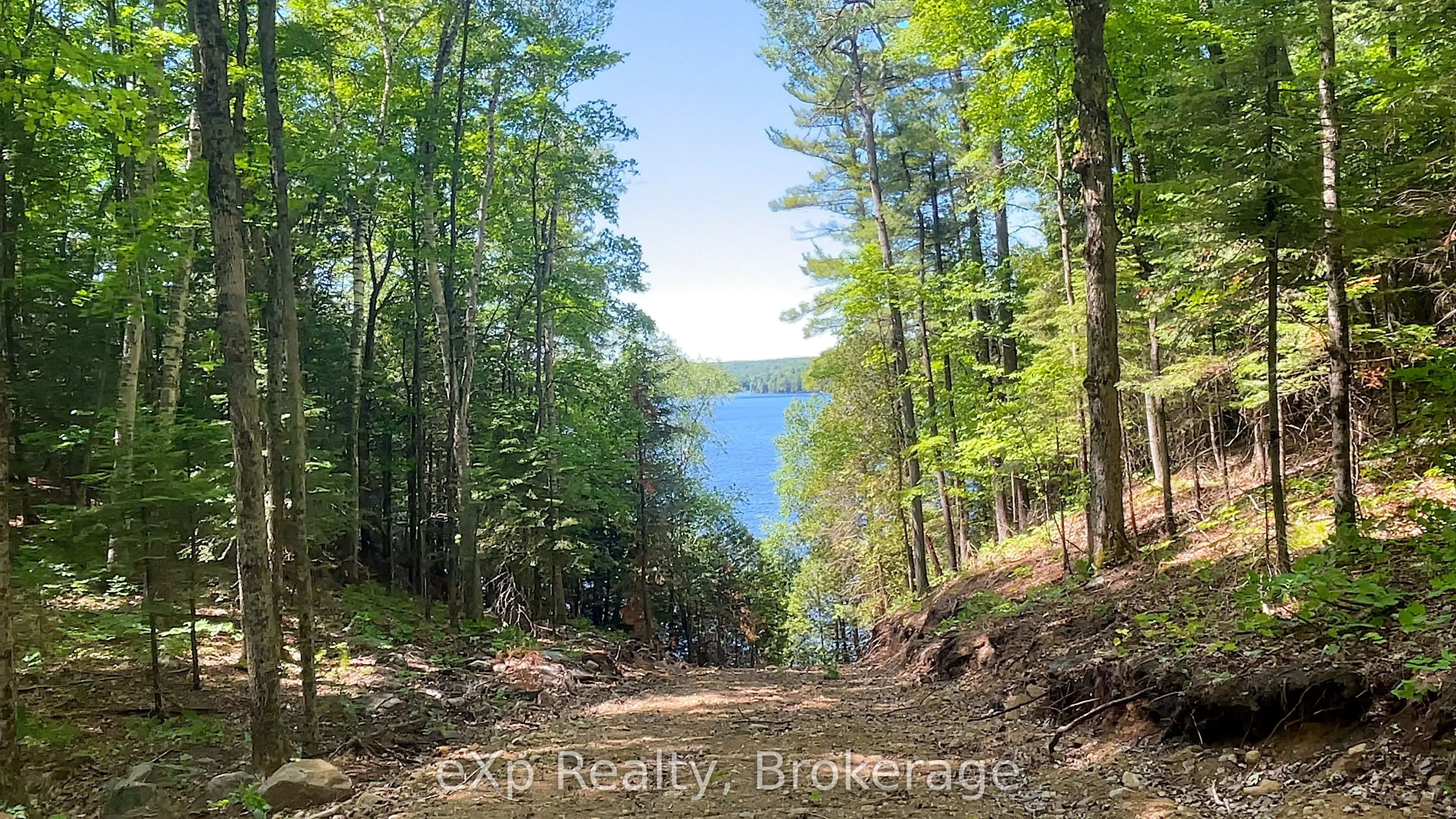 Lot 5 Gonnsen Trail
