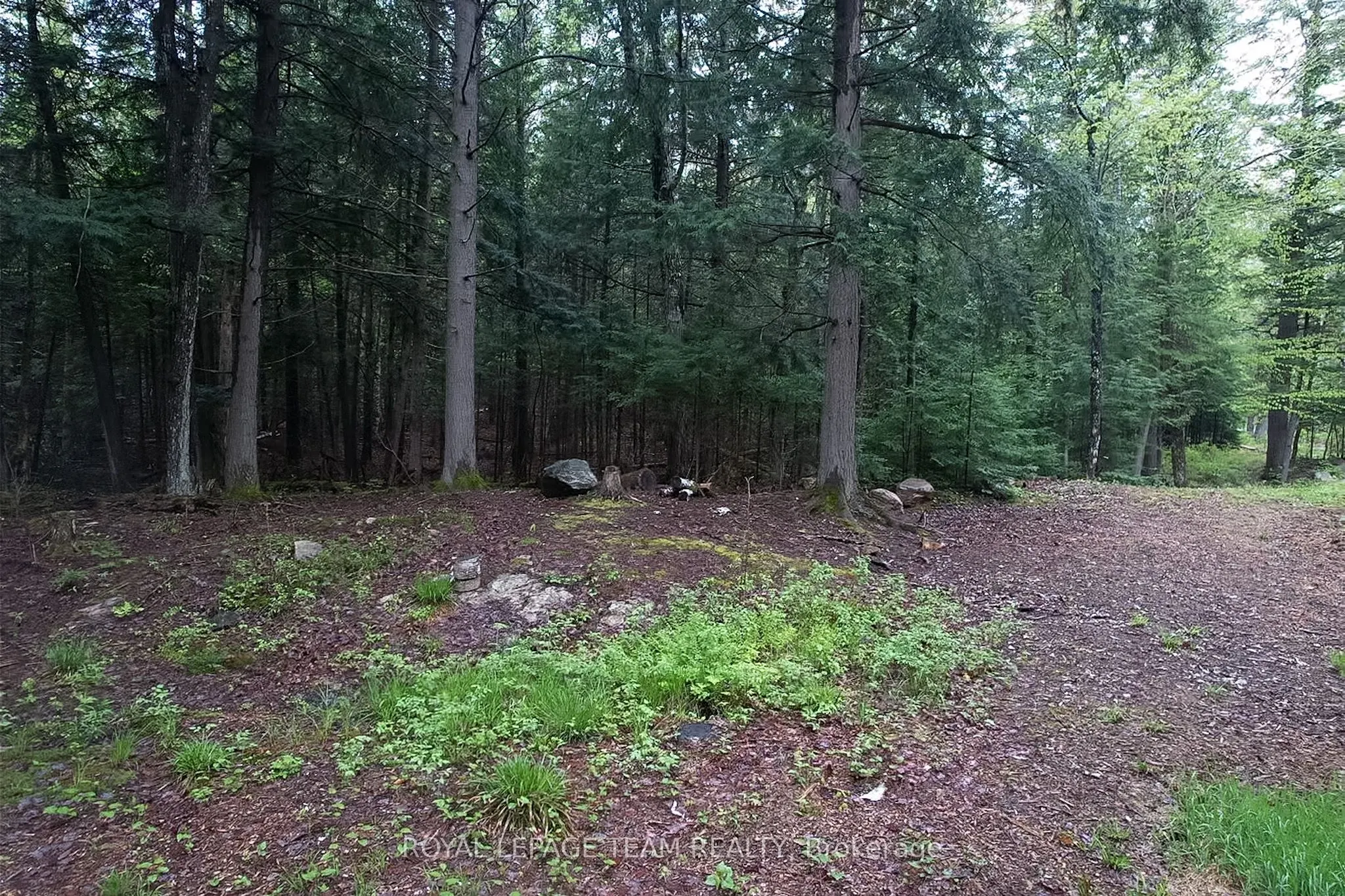 -00 Biernacki Mountain Road