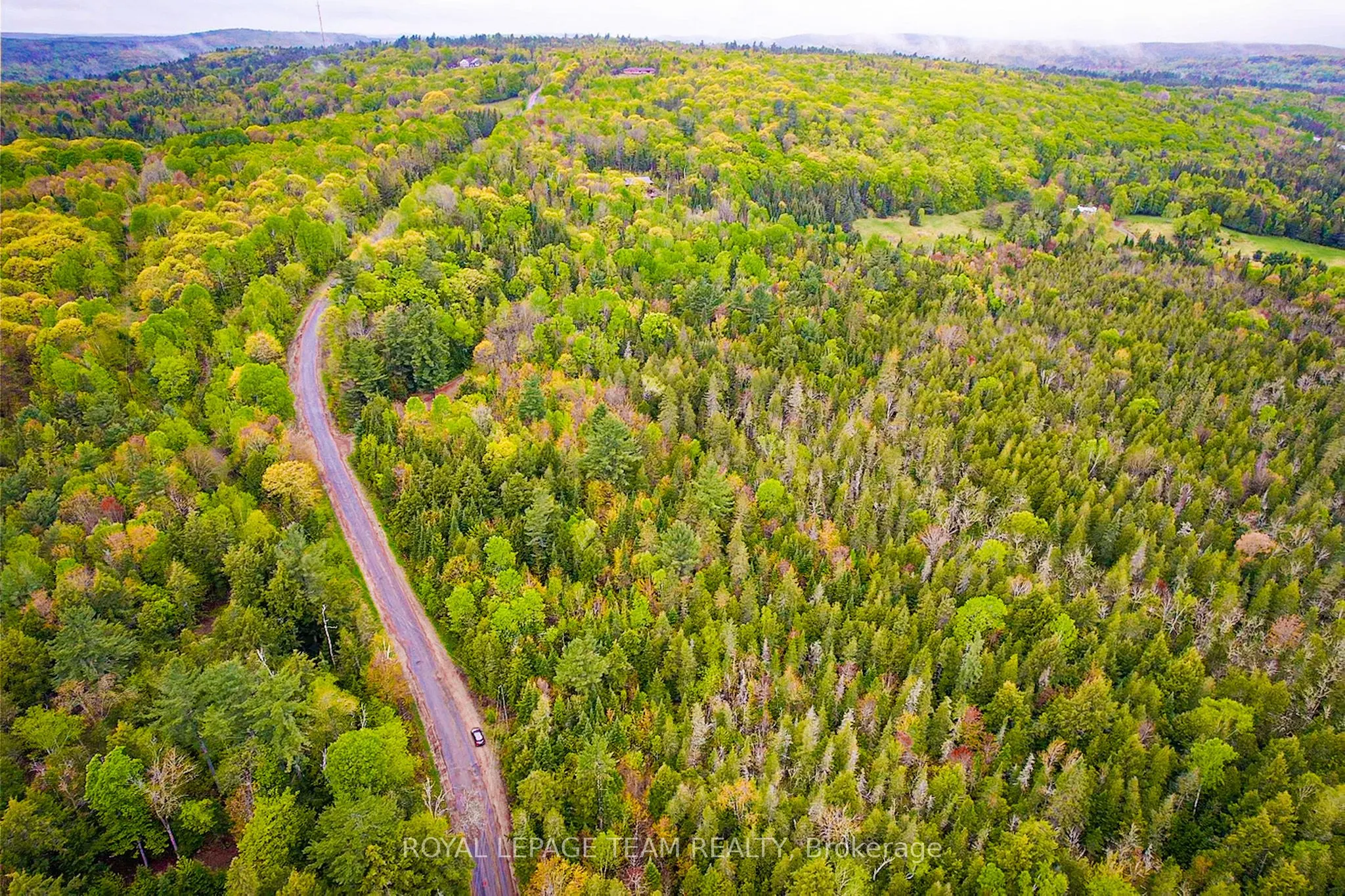 - Biernacki Mountain Road