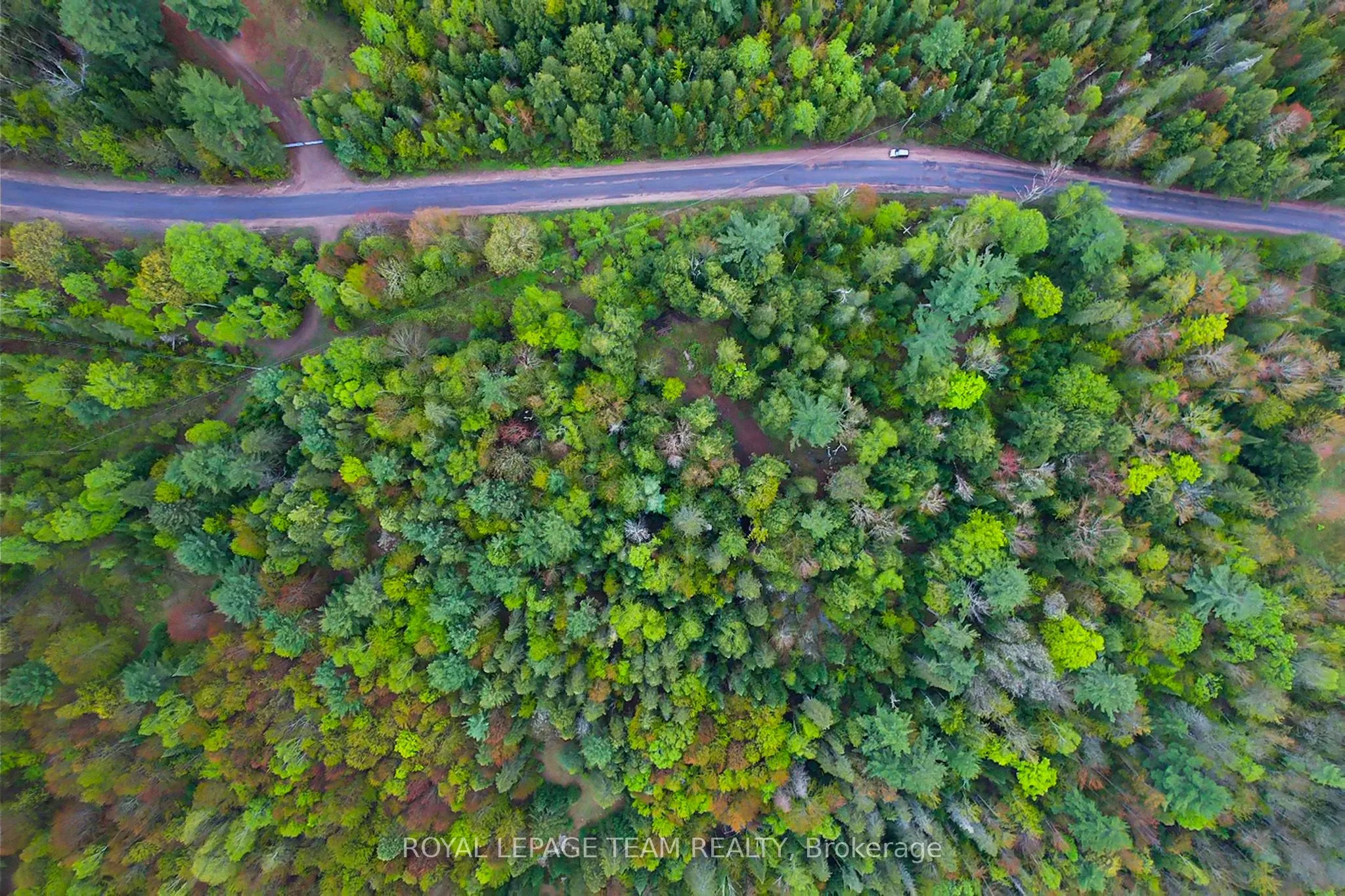 - Biernacki Mountain Road