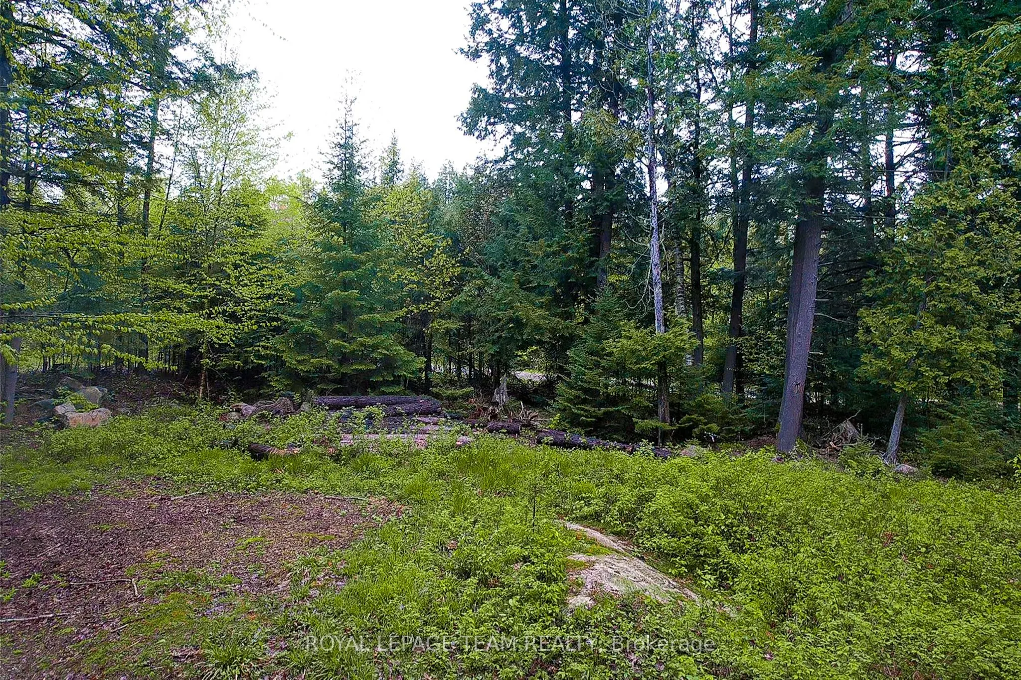 - Biernacki Mountain Road