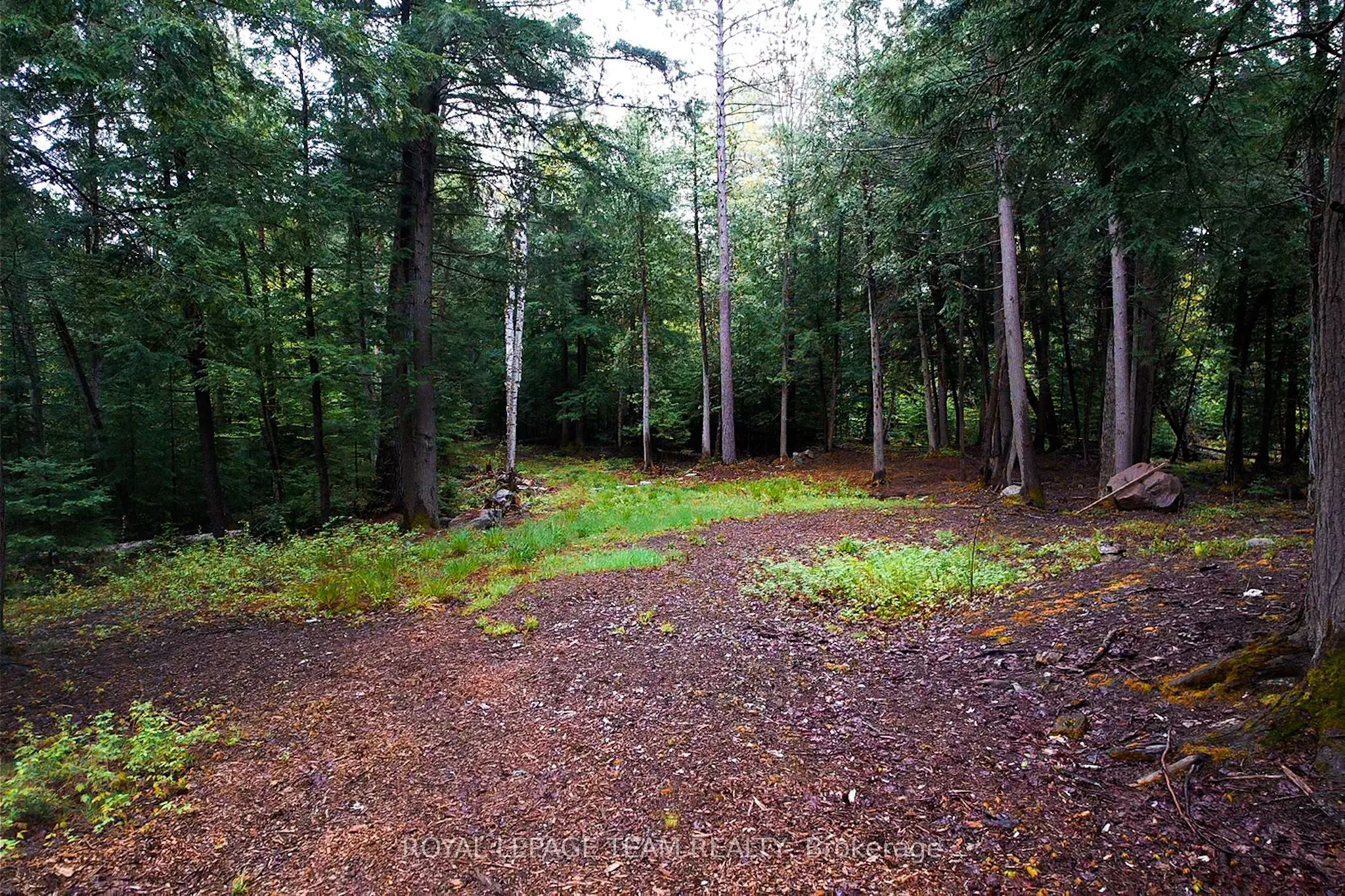 - Biernacki Mountain Road