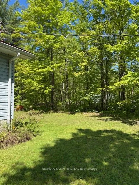 47 Reynolds Road