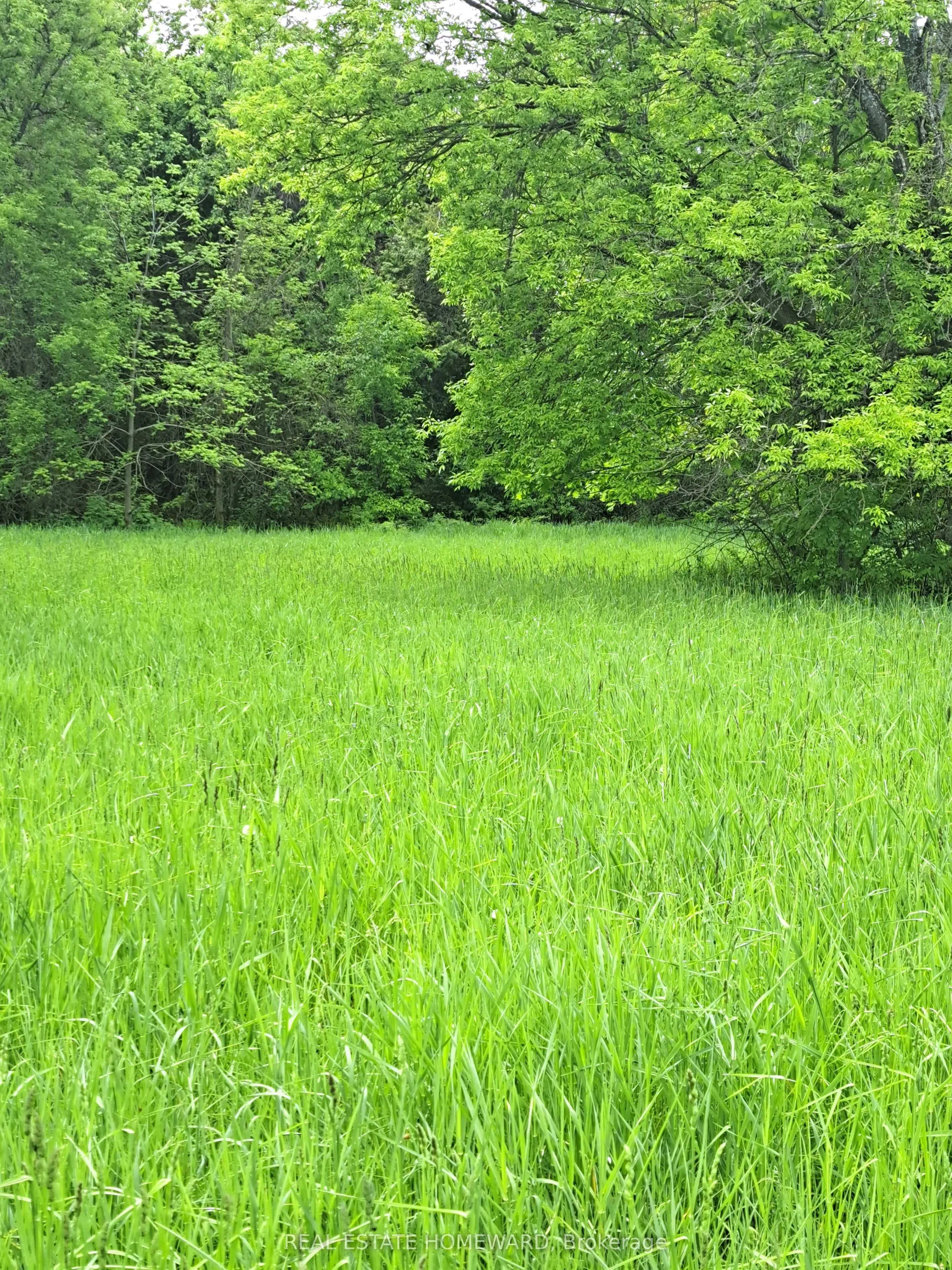 280 Stoco Road