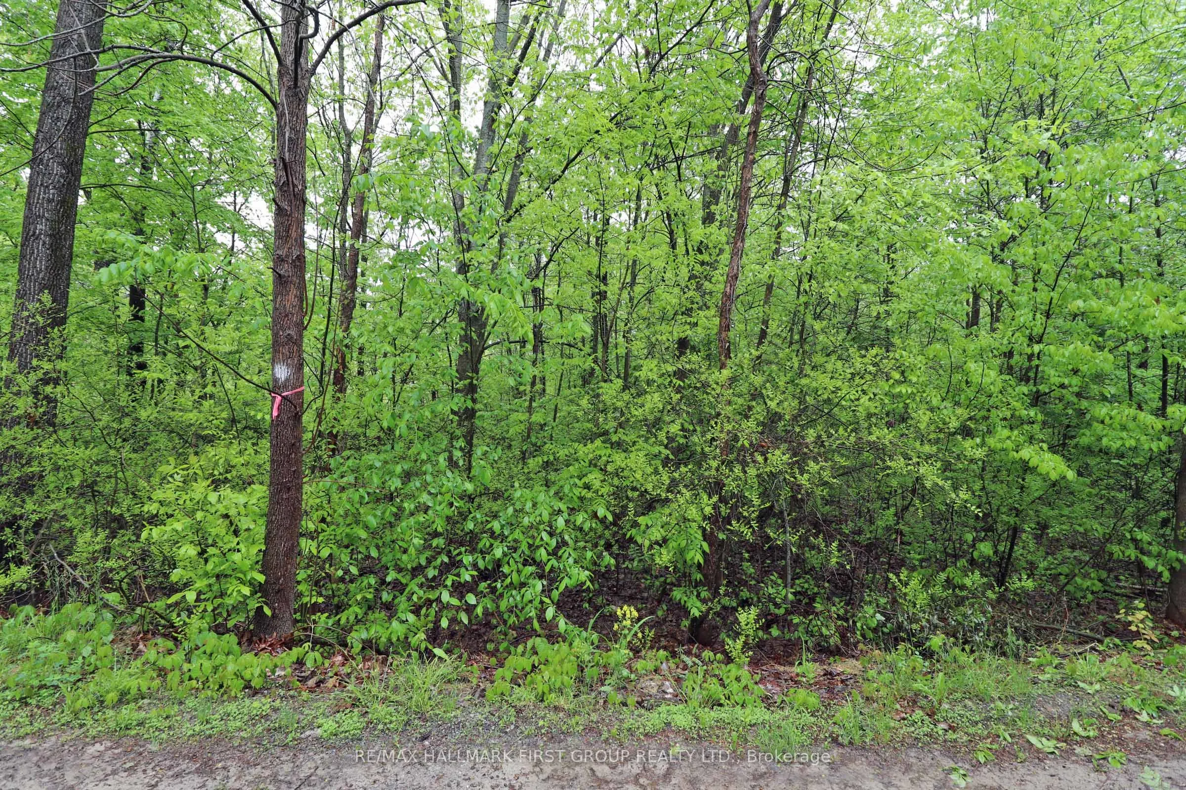 PT 12 Hughes Lane