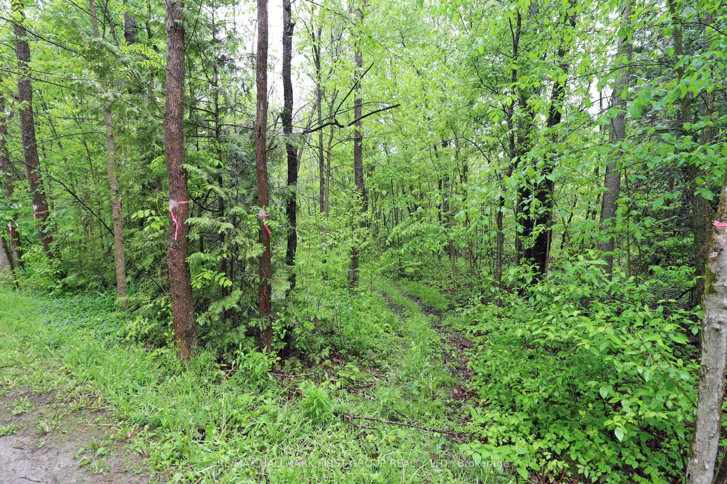 PT 12 Hughes Lane