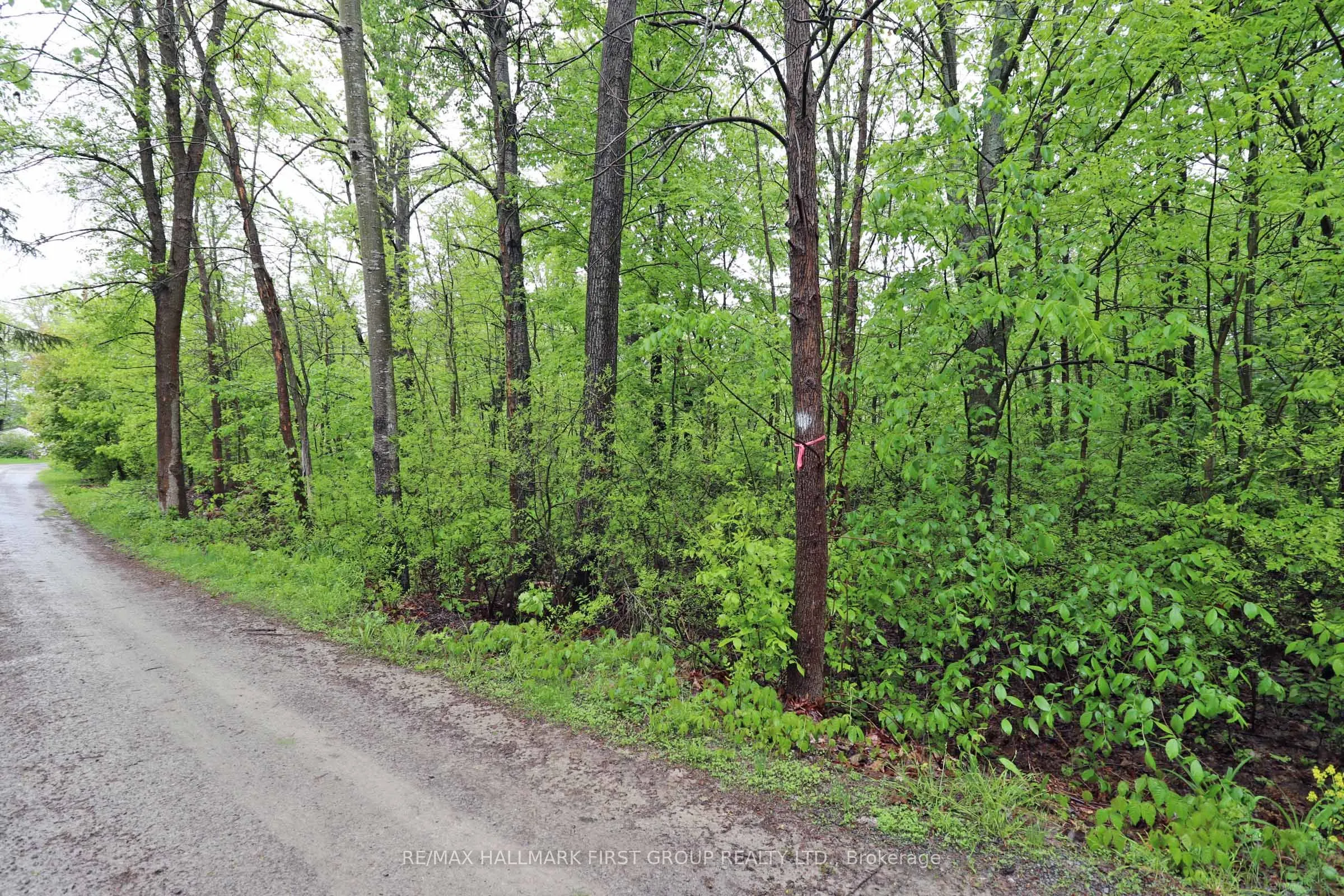 PT 12 Hughes Lane