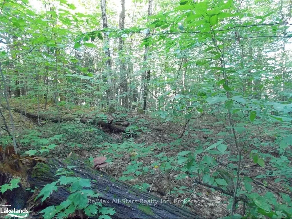 0 Angle Lake Road