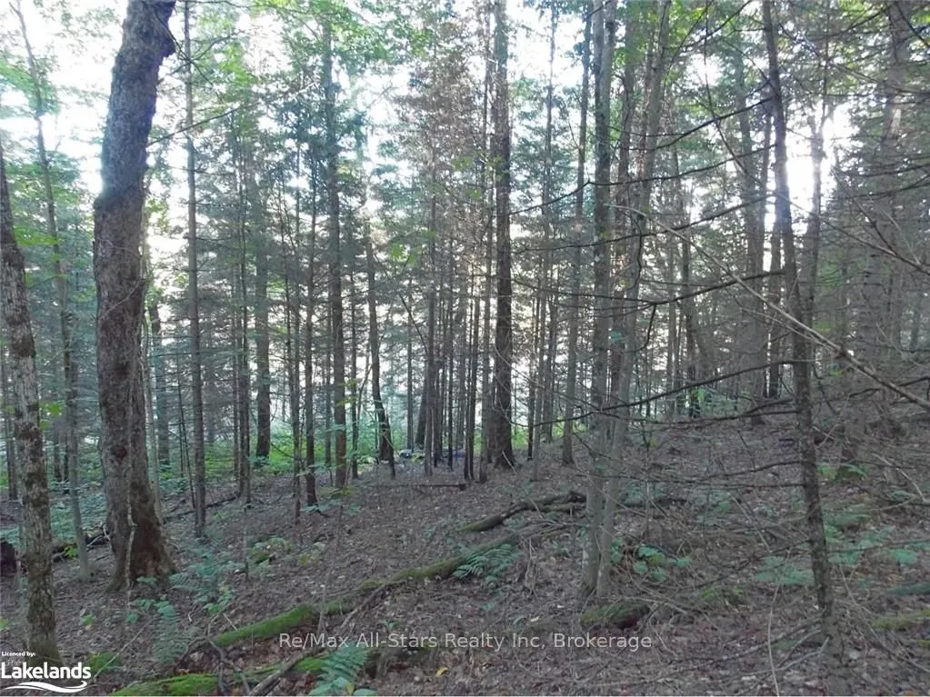 0 Angle Lake Road