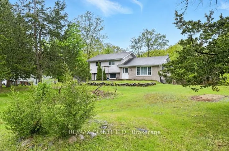 536 Christiani Road