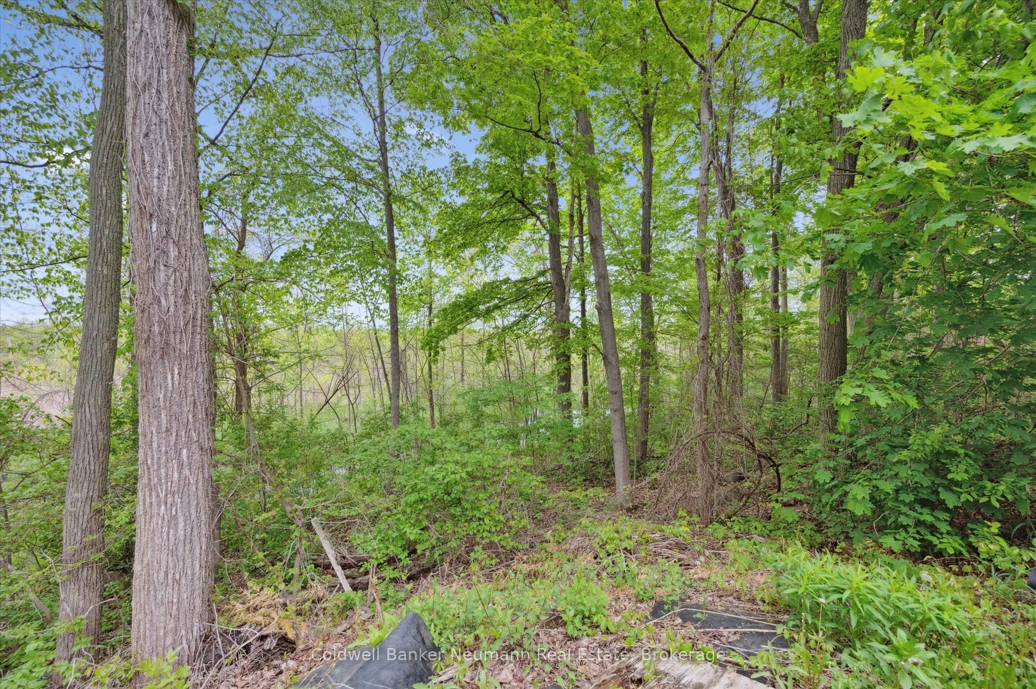 1294 Concession 8W Road W, #158 Maple