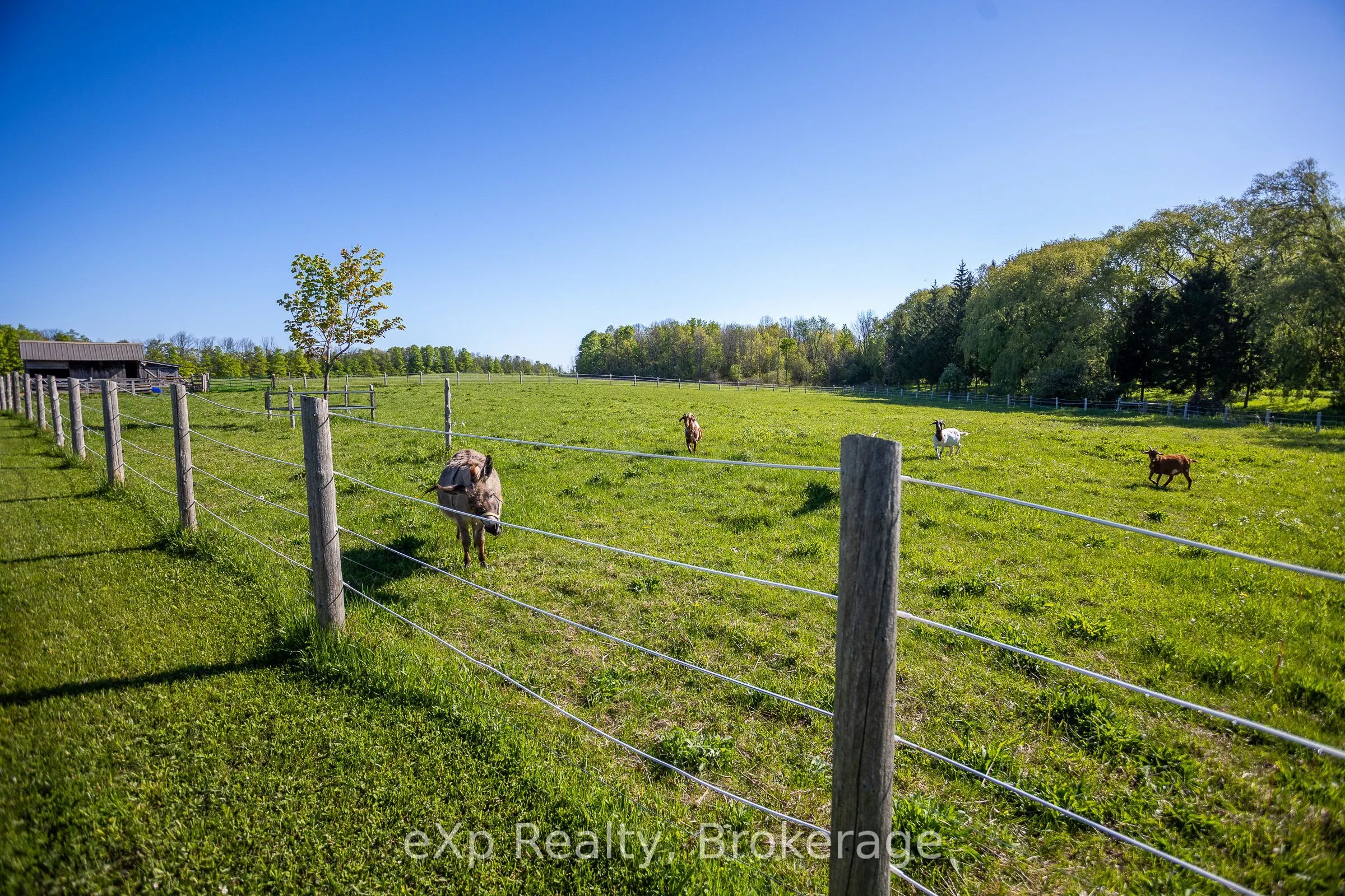 418485 Concession A