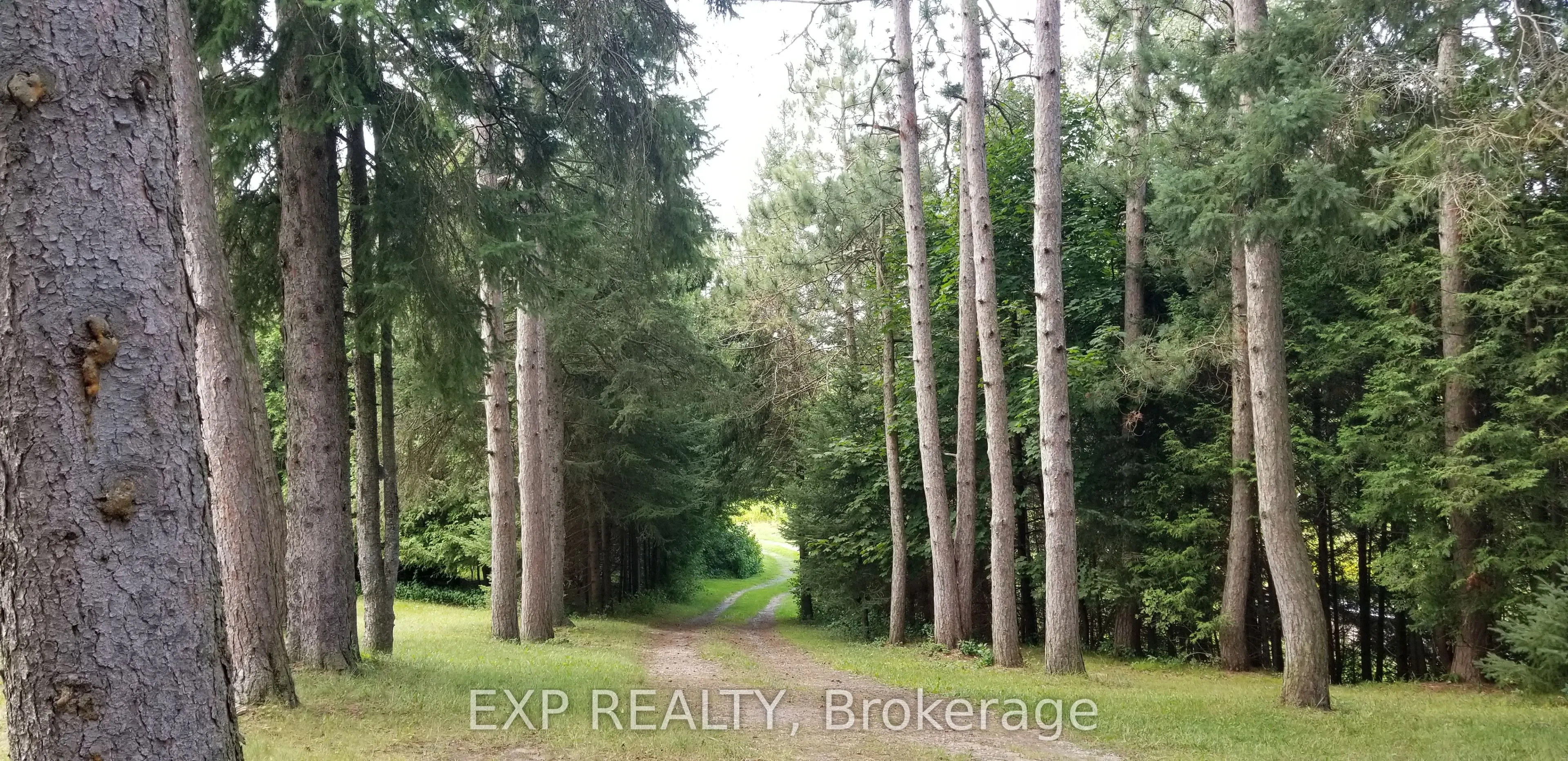 5693 East Townline Road
