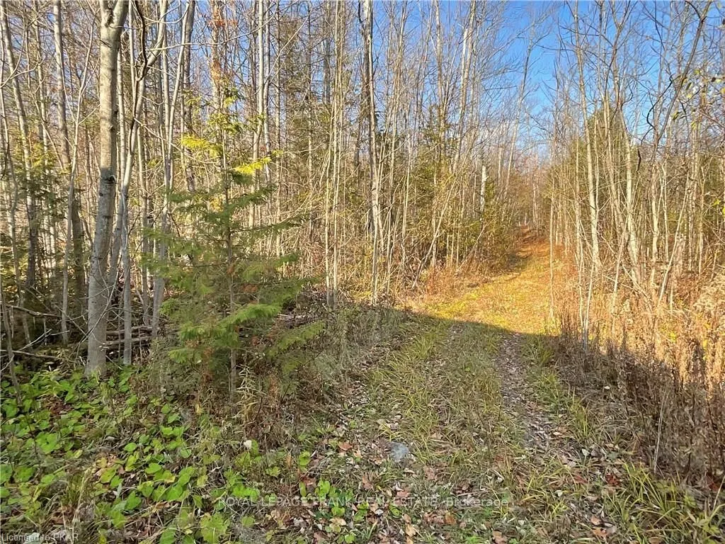 3467 County Rd 36