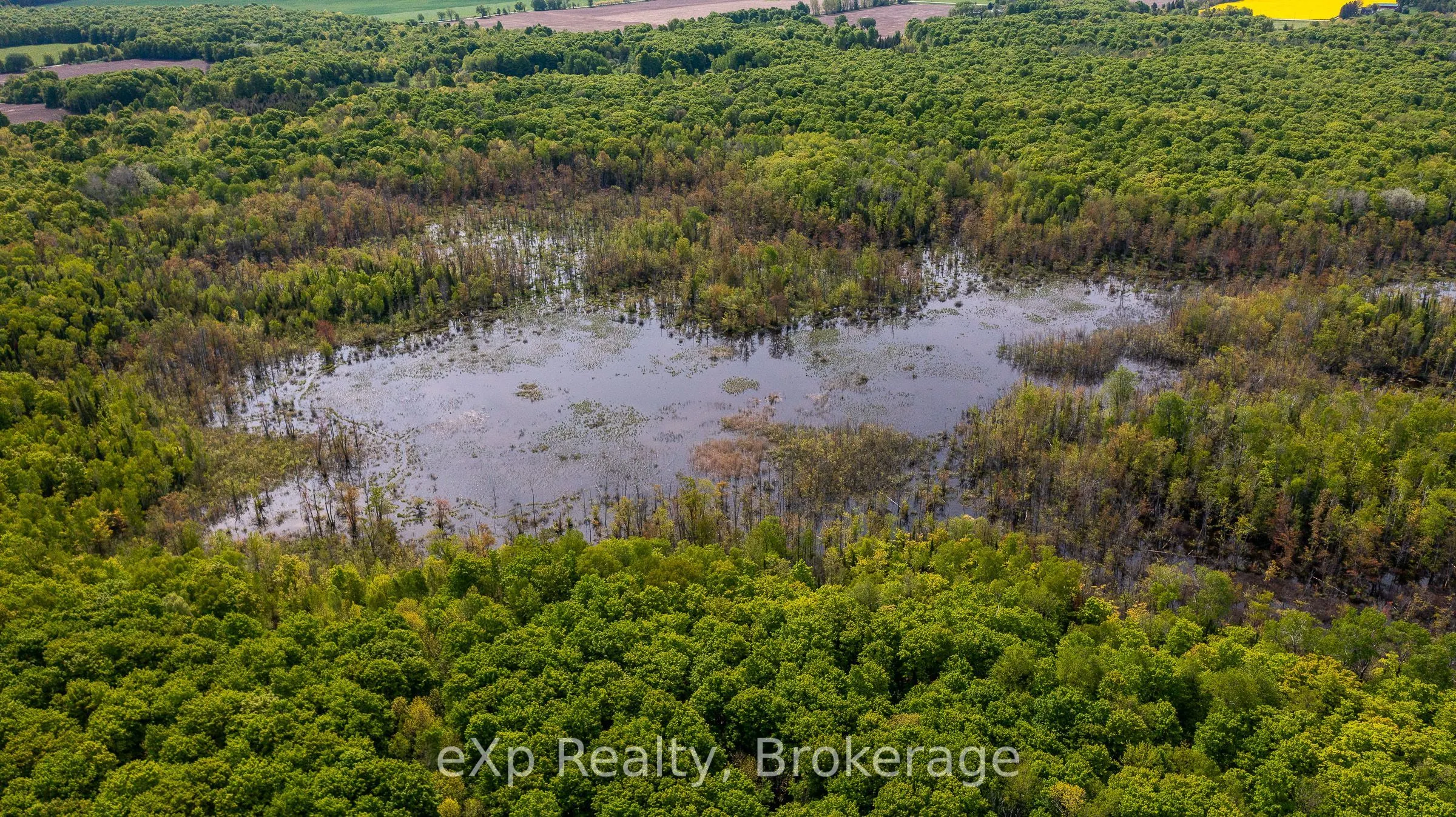 LT16-18 CON 13 Keppel - Concession Rd 14