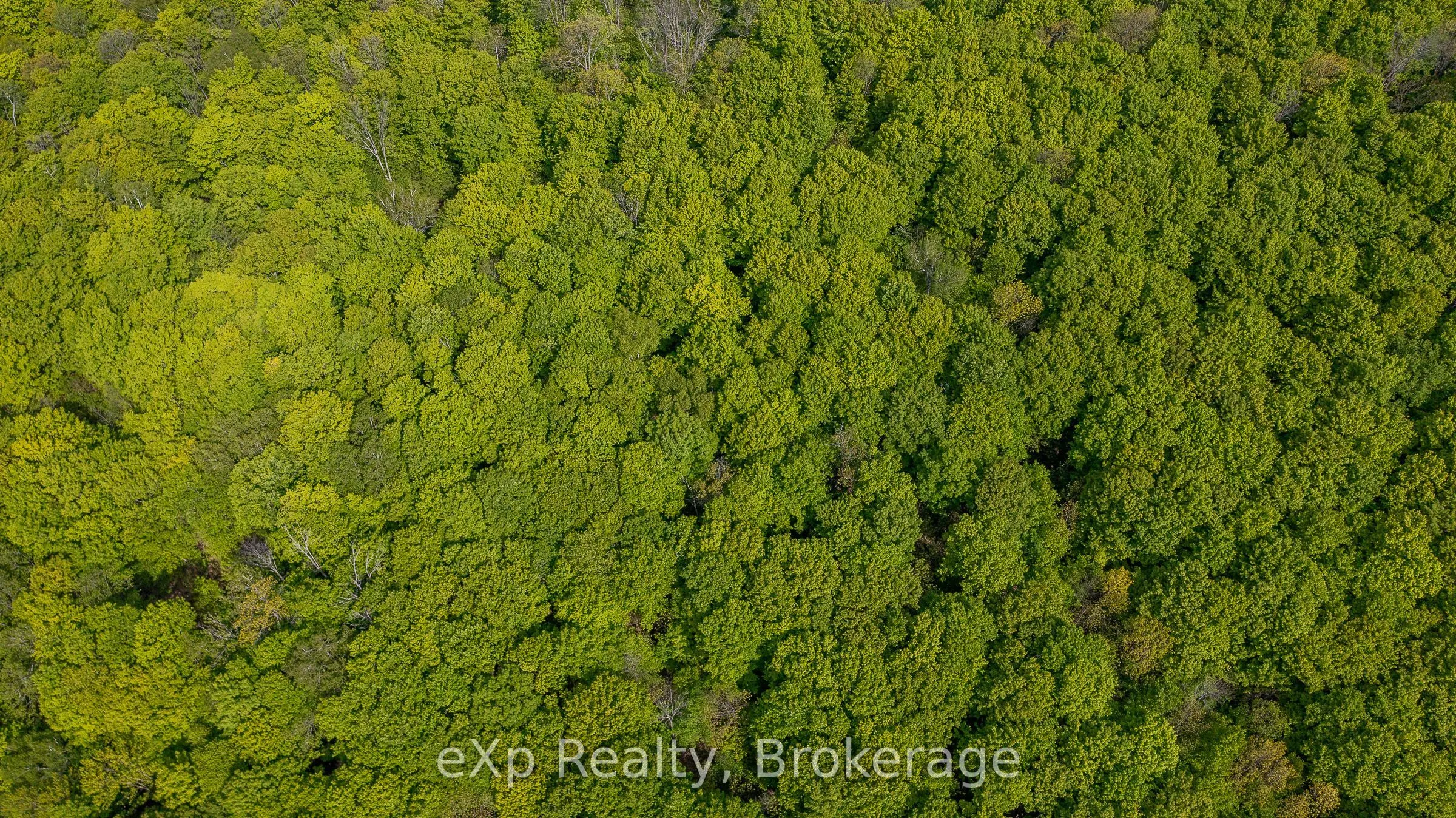 LT16-18 CON 13 Keppel - Concession Rd 14