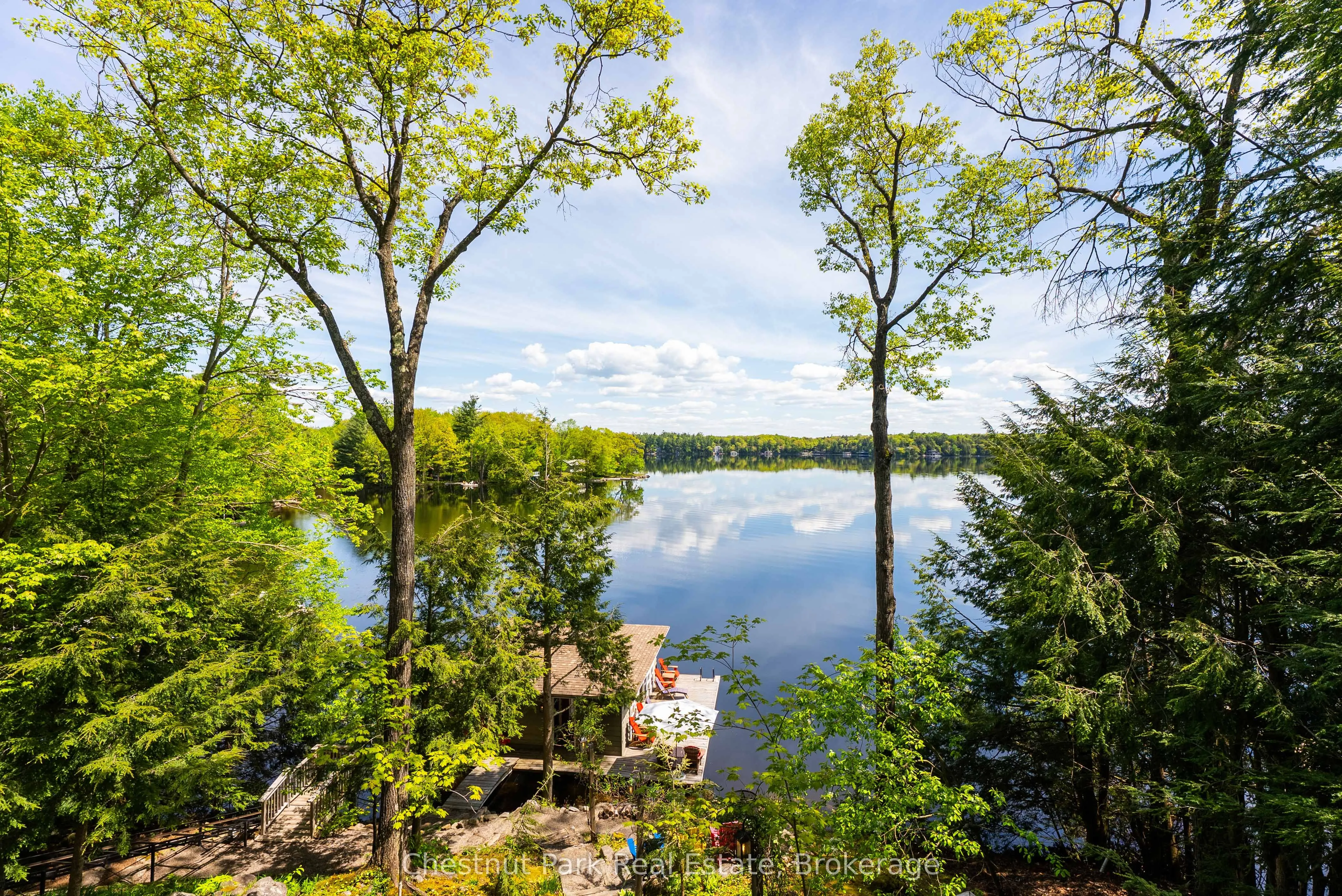1246 Dudley Road, #3