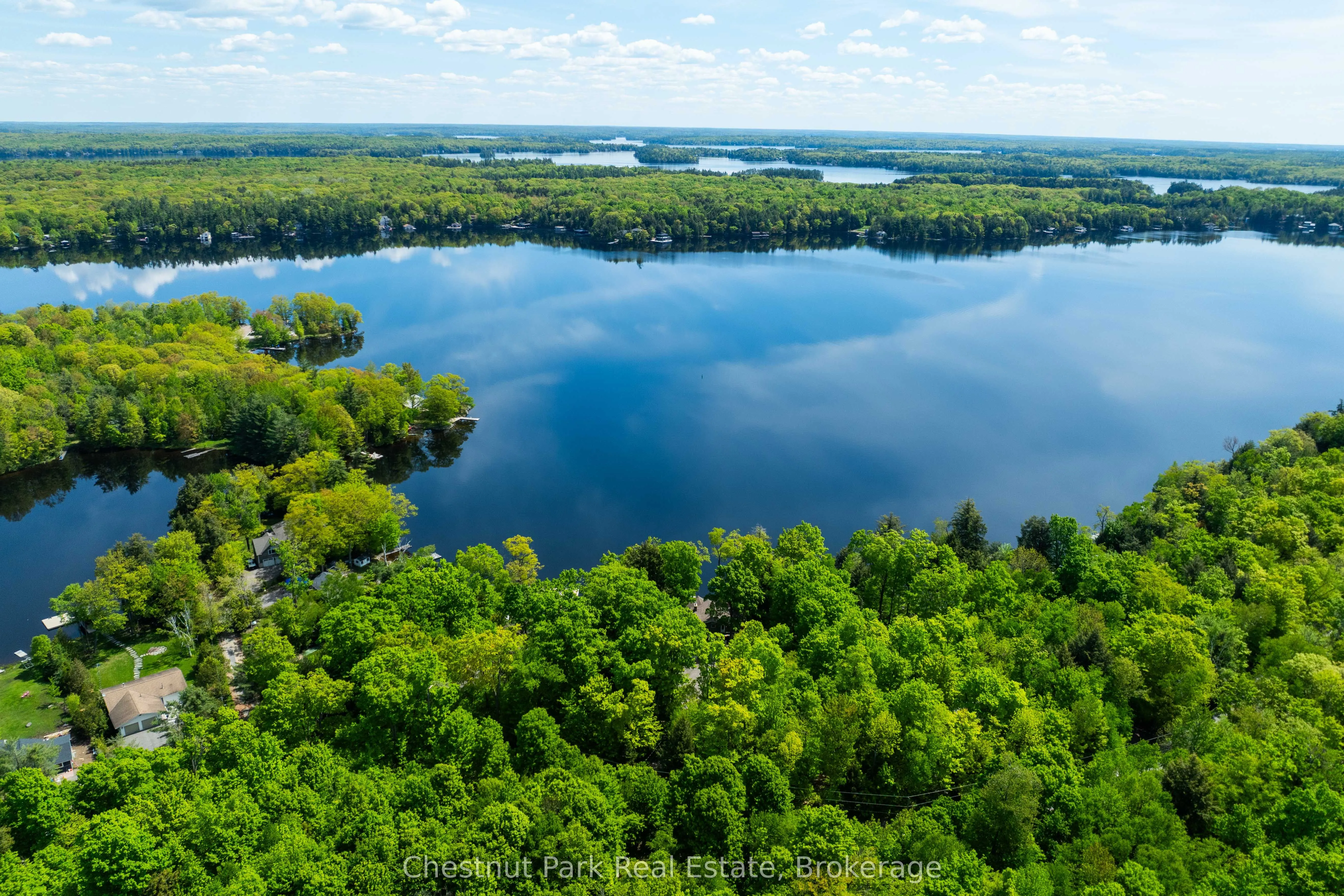 1246 Dudley Road, #3