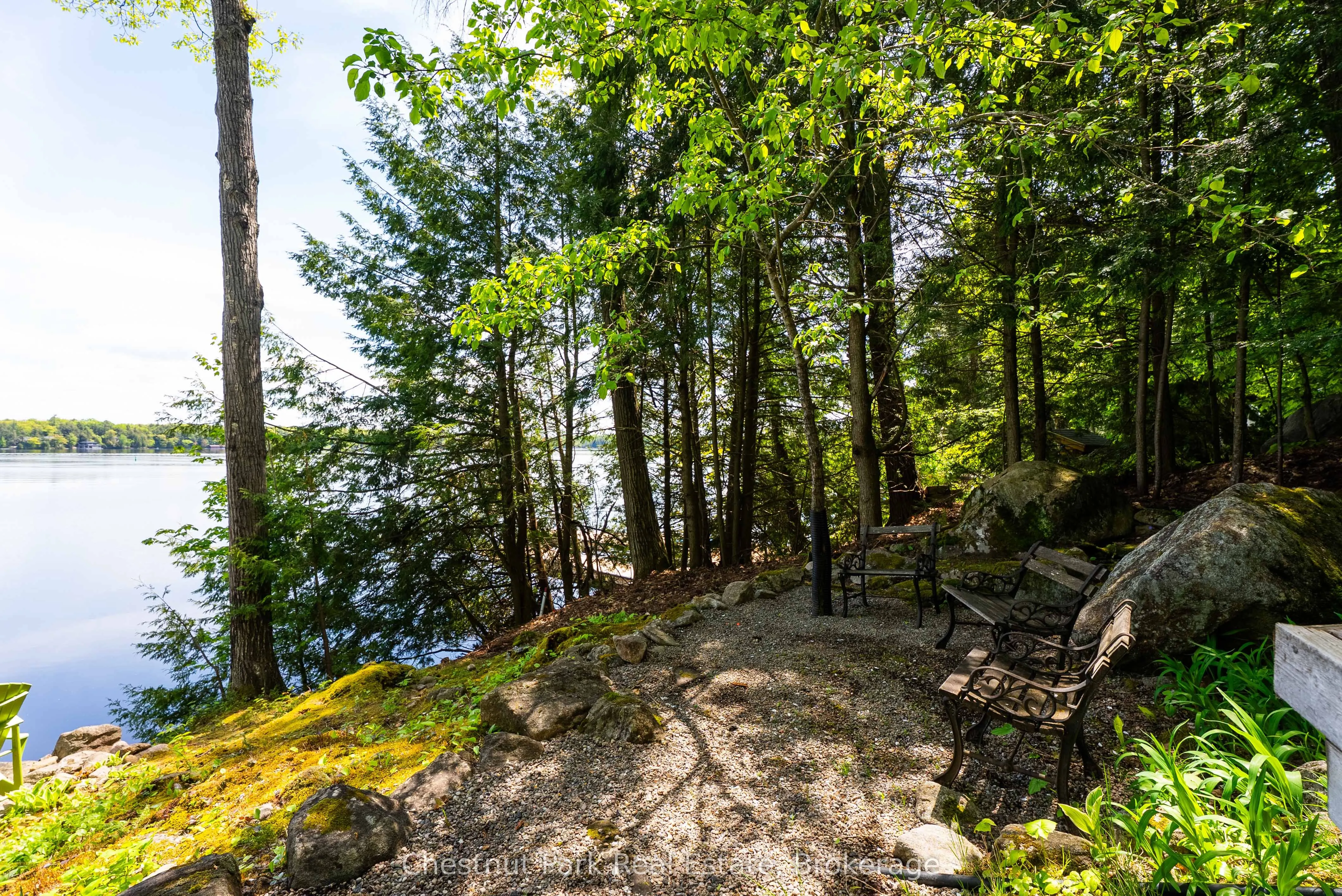 1246 Dudley Road, #3