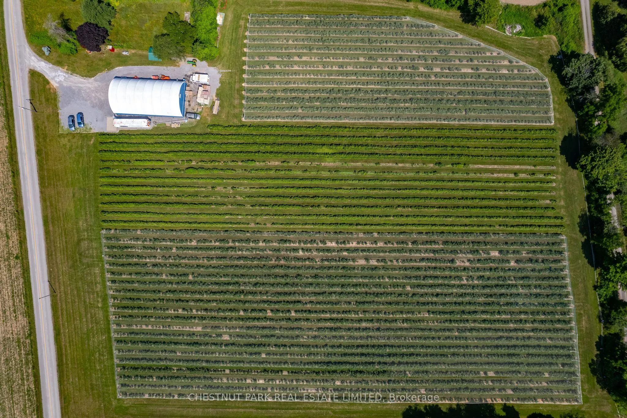 between 15 & 51 County Road 38