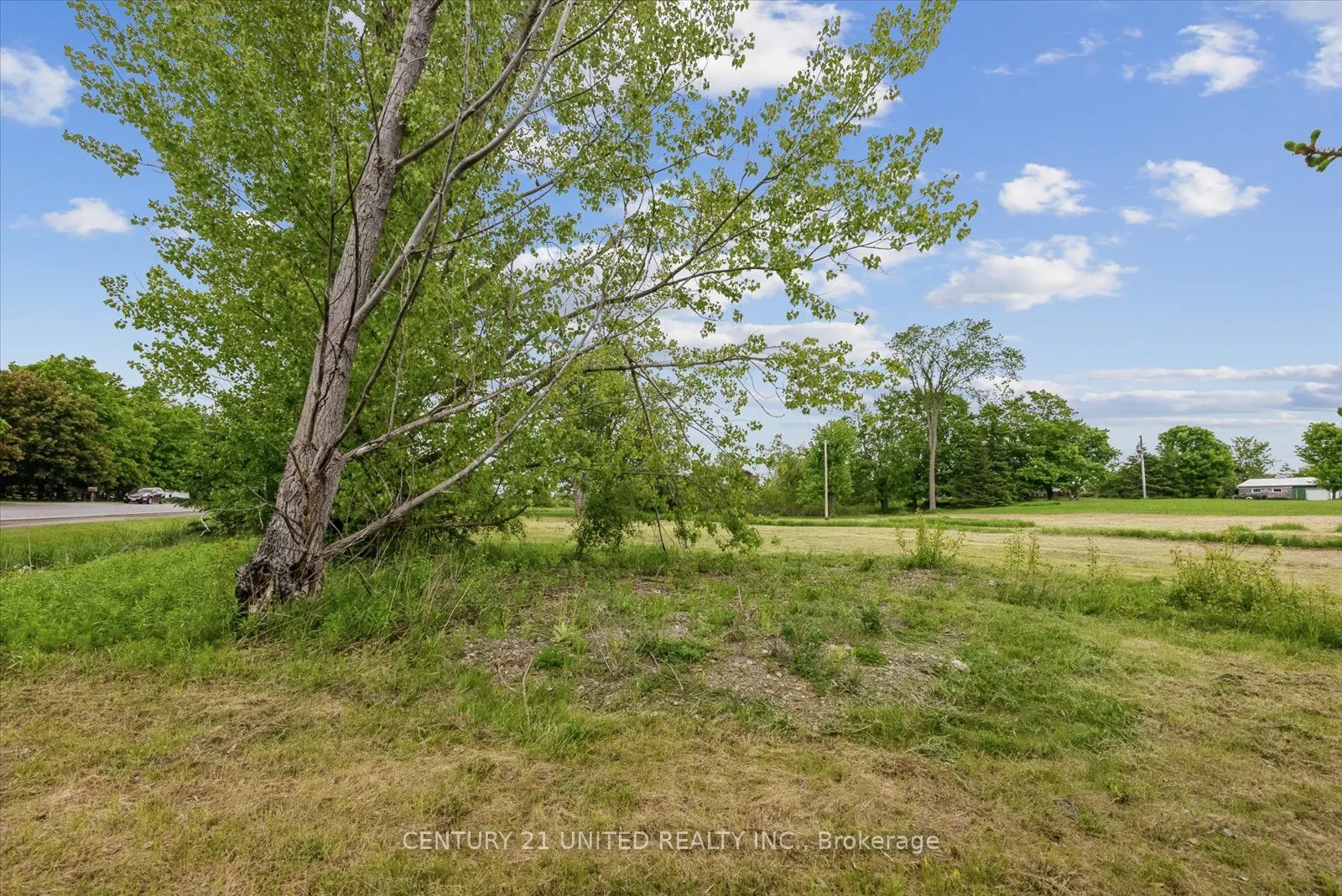 0 Savigny Road