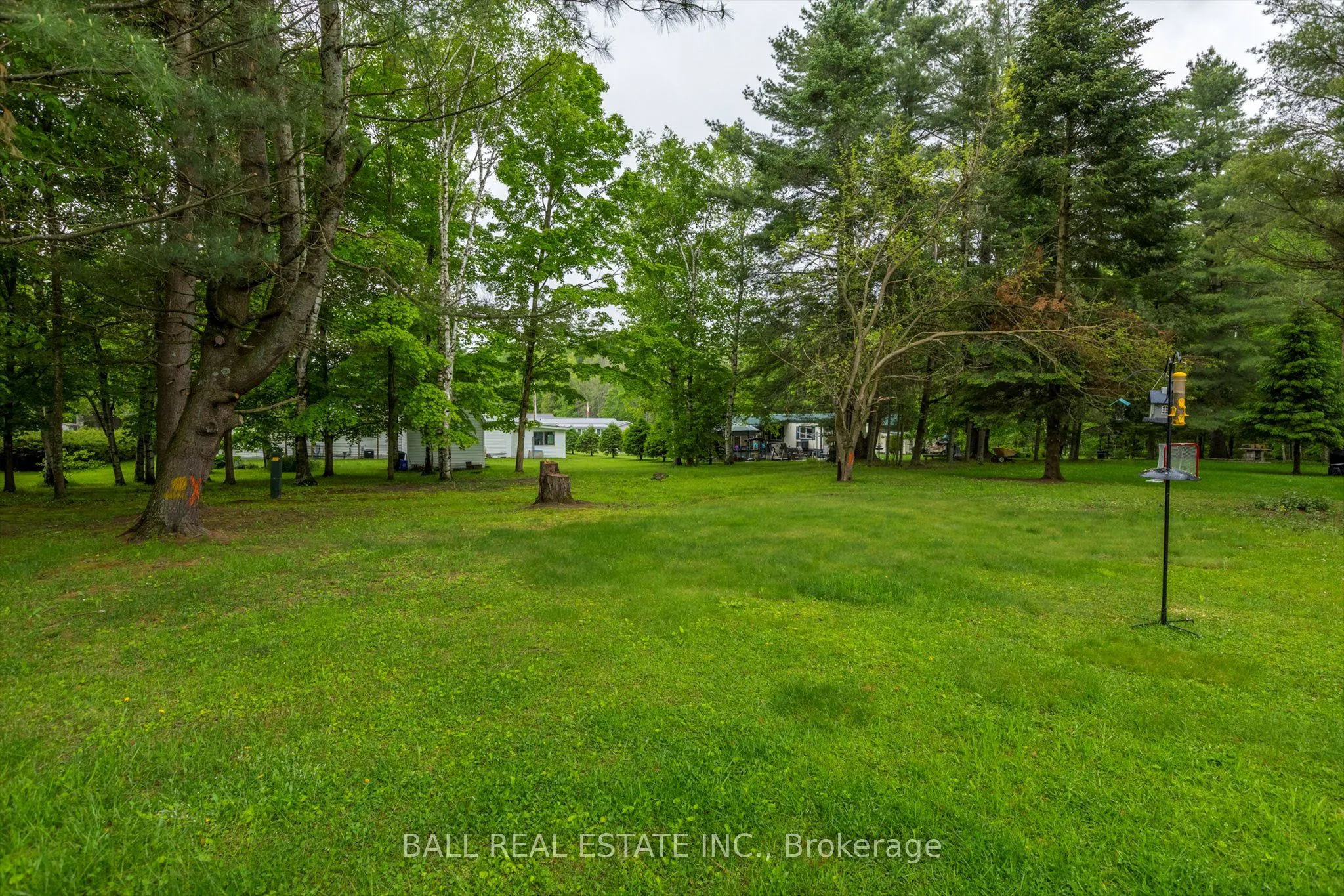 62 Methuen Street
