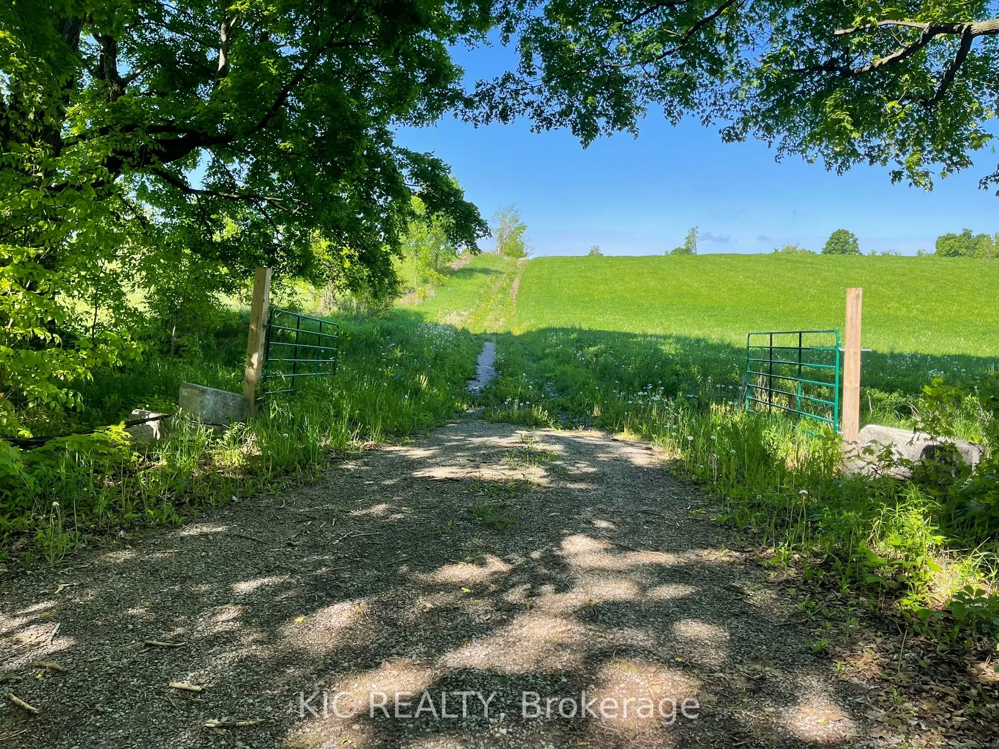 556 Fifth Line Rd Dum Road