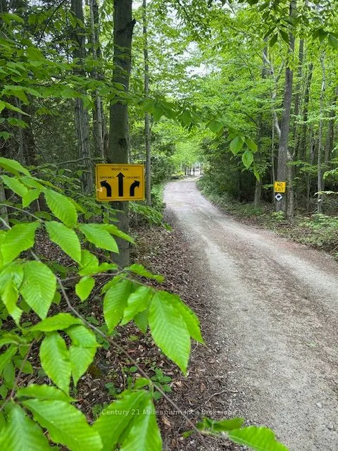 204495 Highway 26