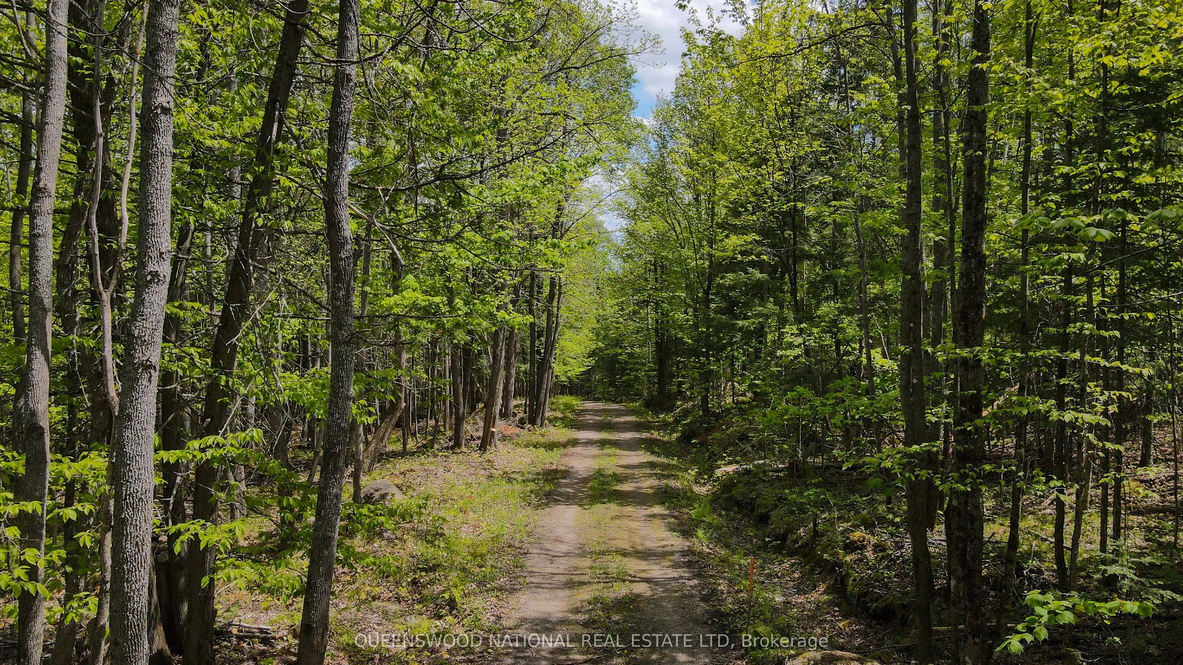 00 Siberia Road