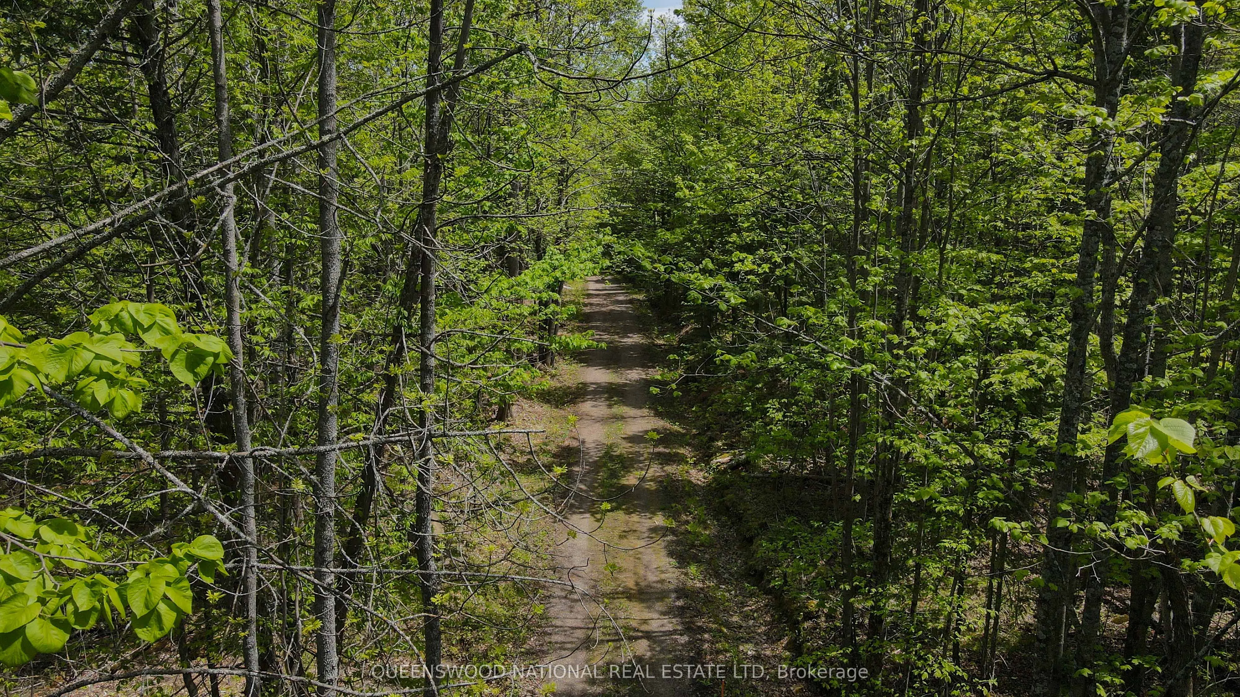 00 Siberia Road