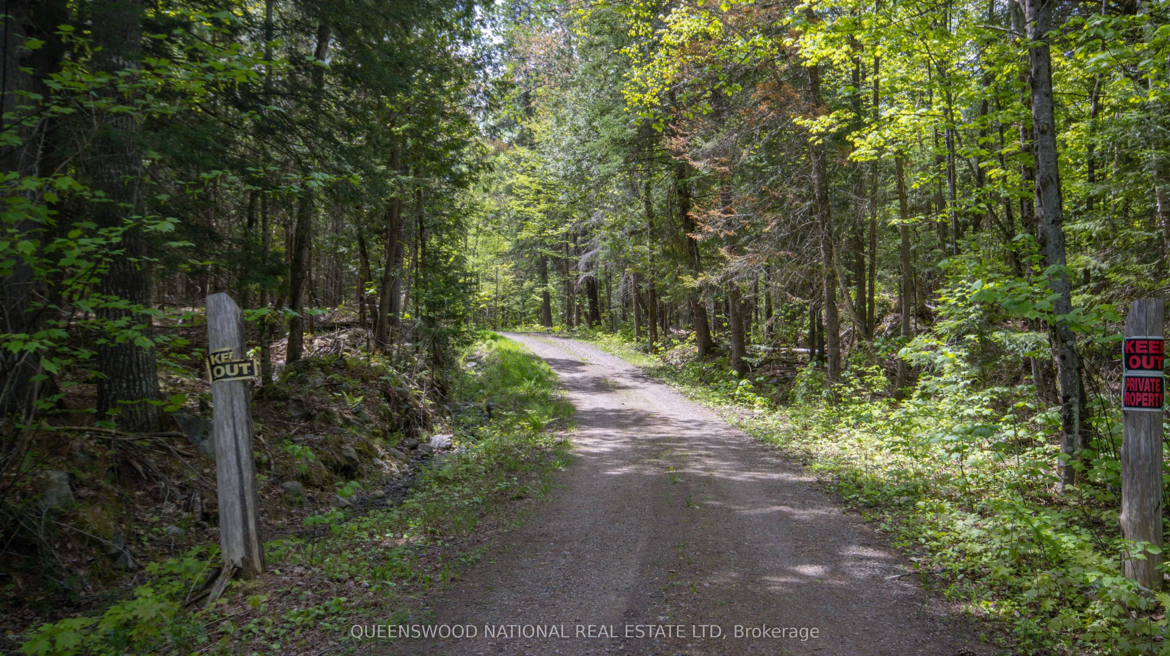 00 Siberia Road