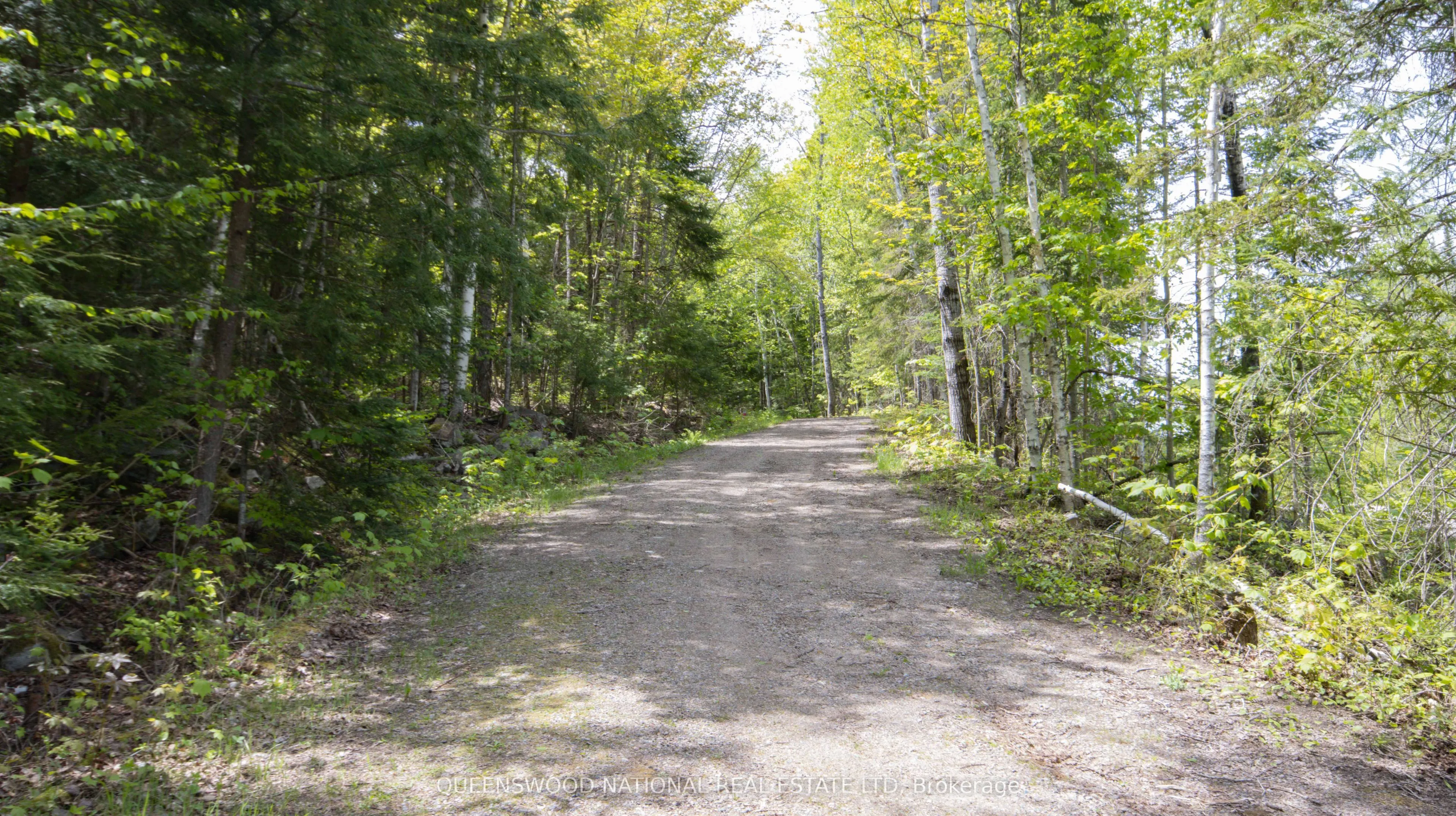 00 Siberia Road