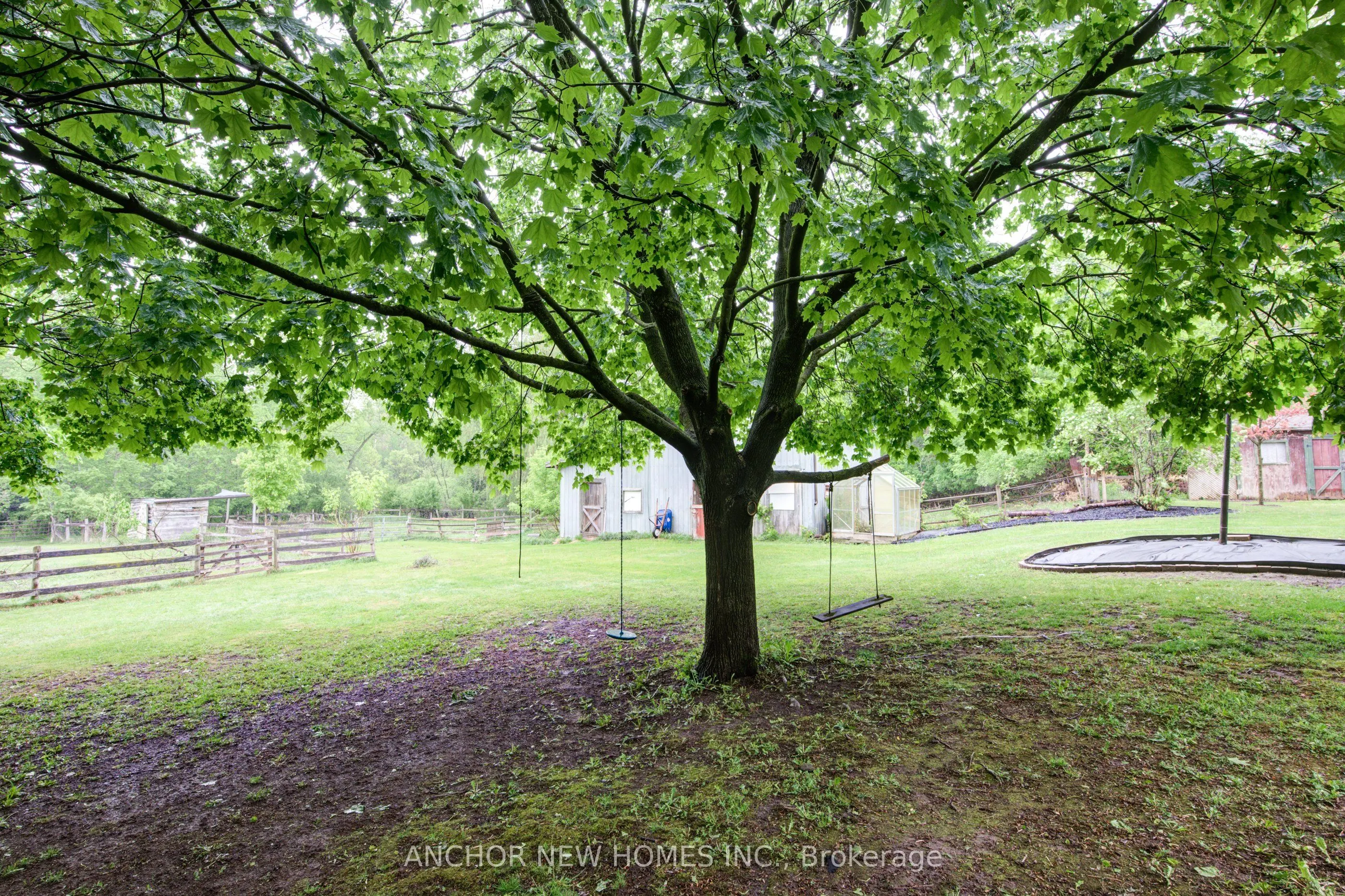 403137 ROBINSON Road