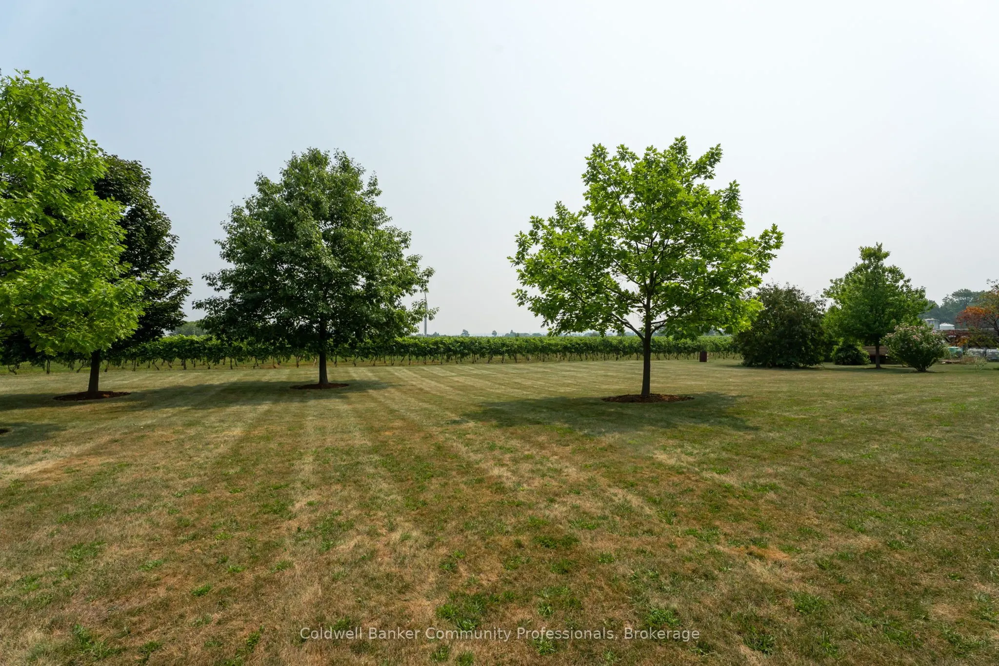 1065 Concession 3 Road
