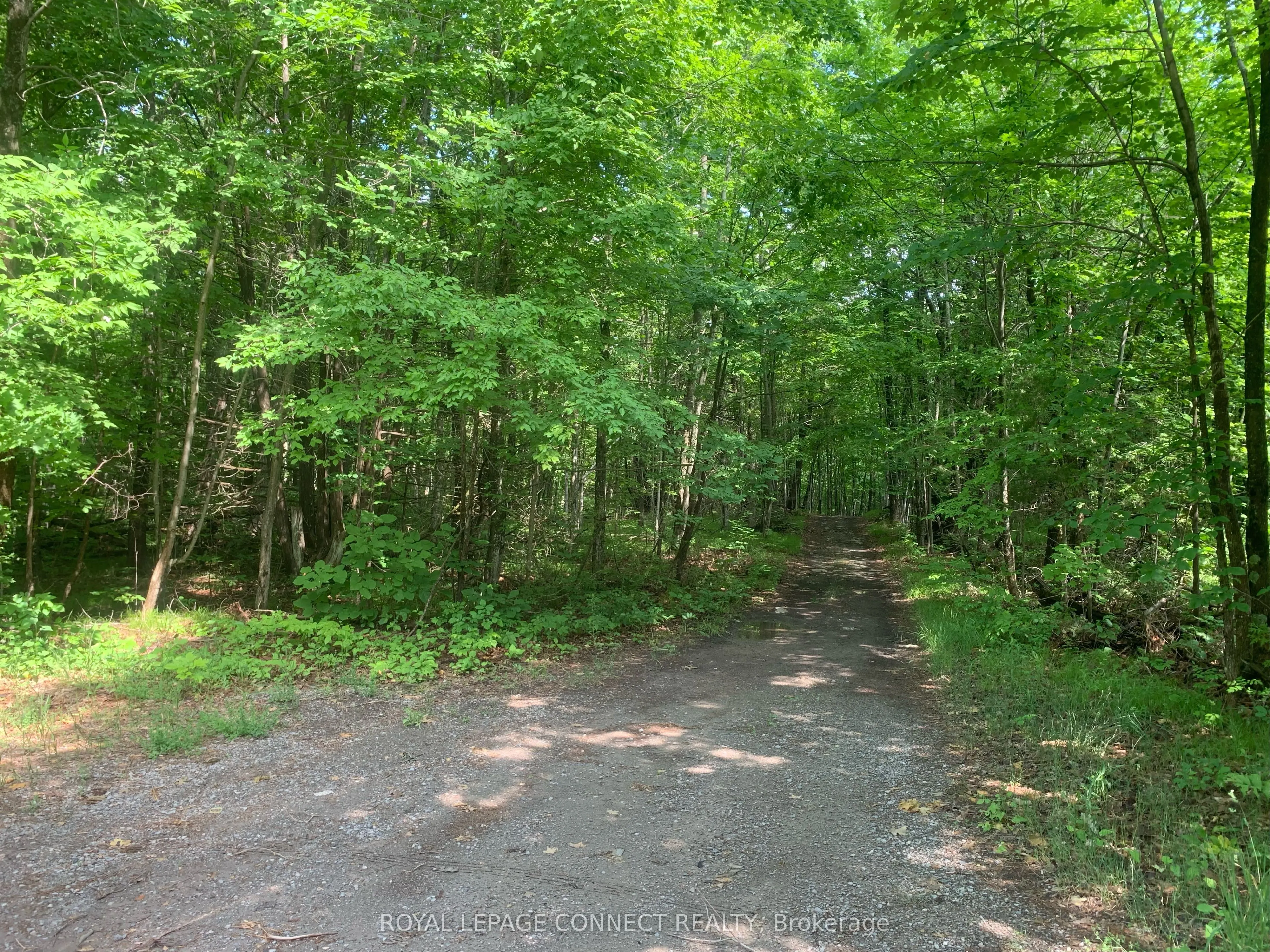 00 Clareview Road
