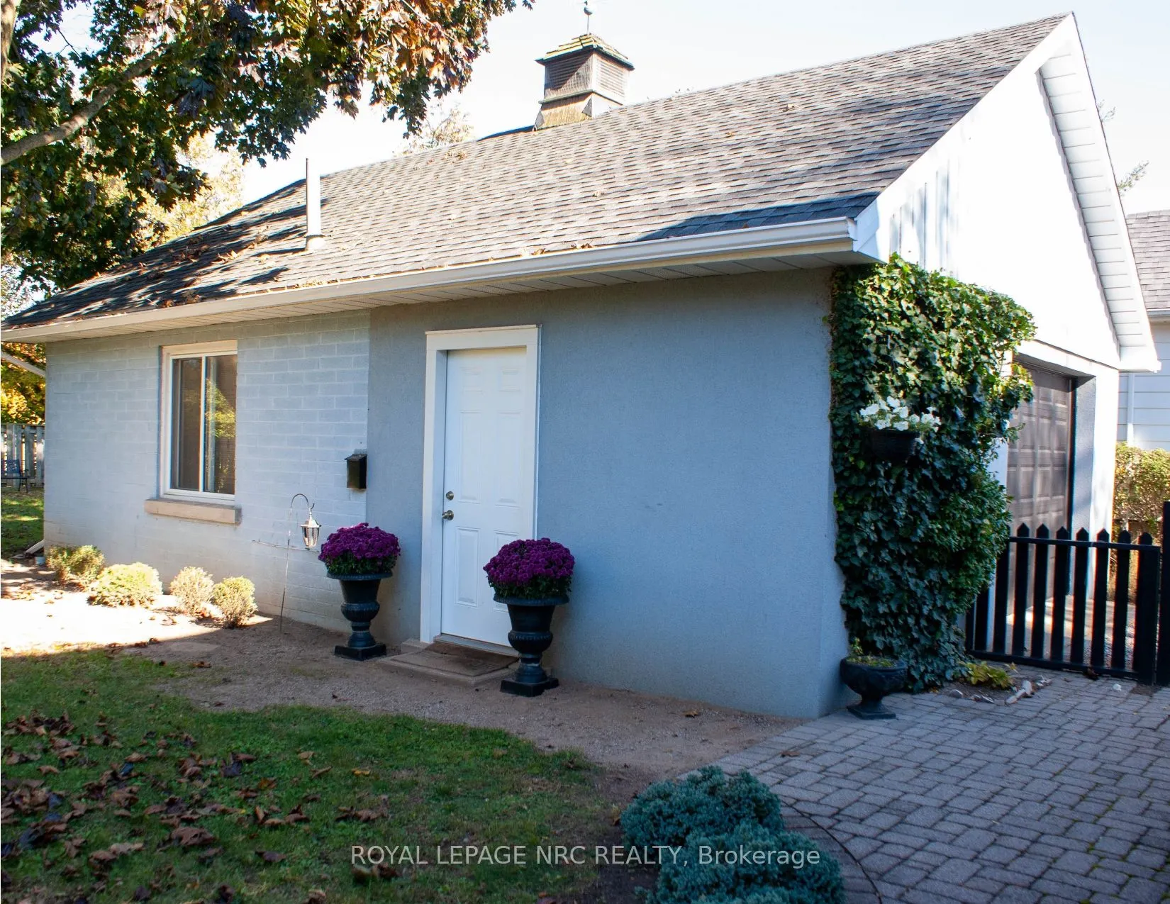 553 Carlton Street