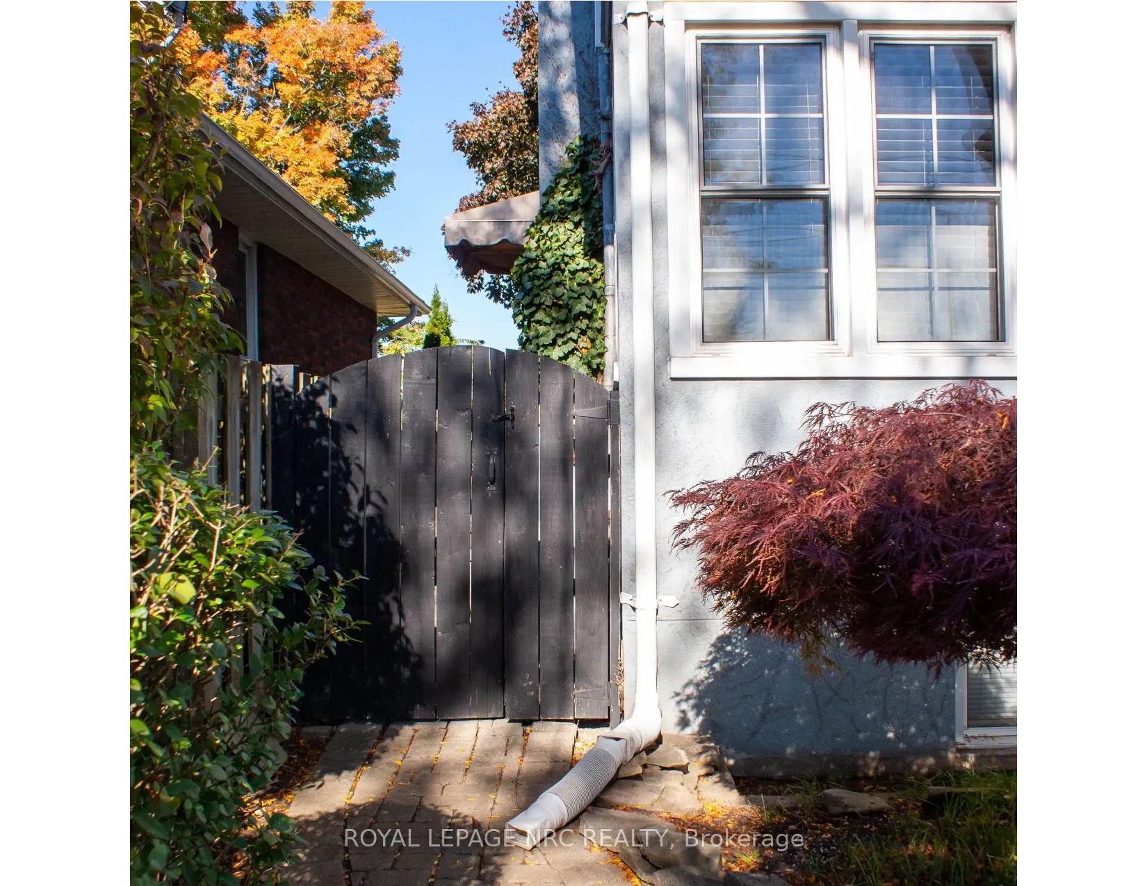 553 Carlton Street