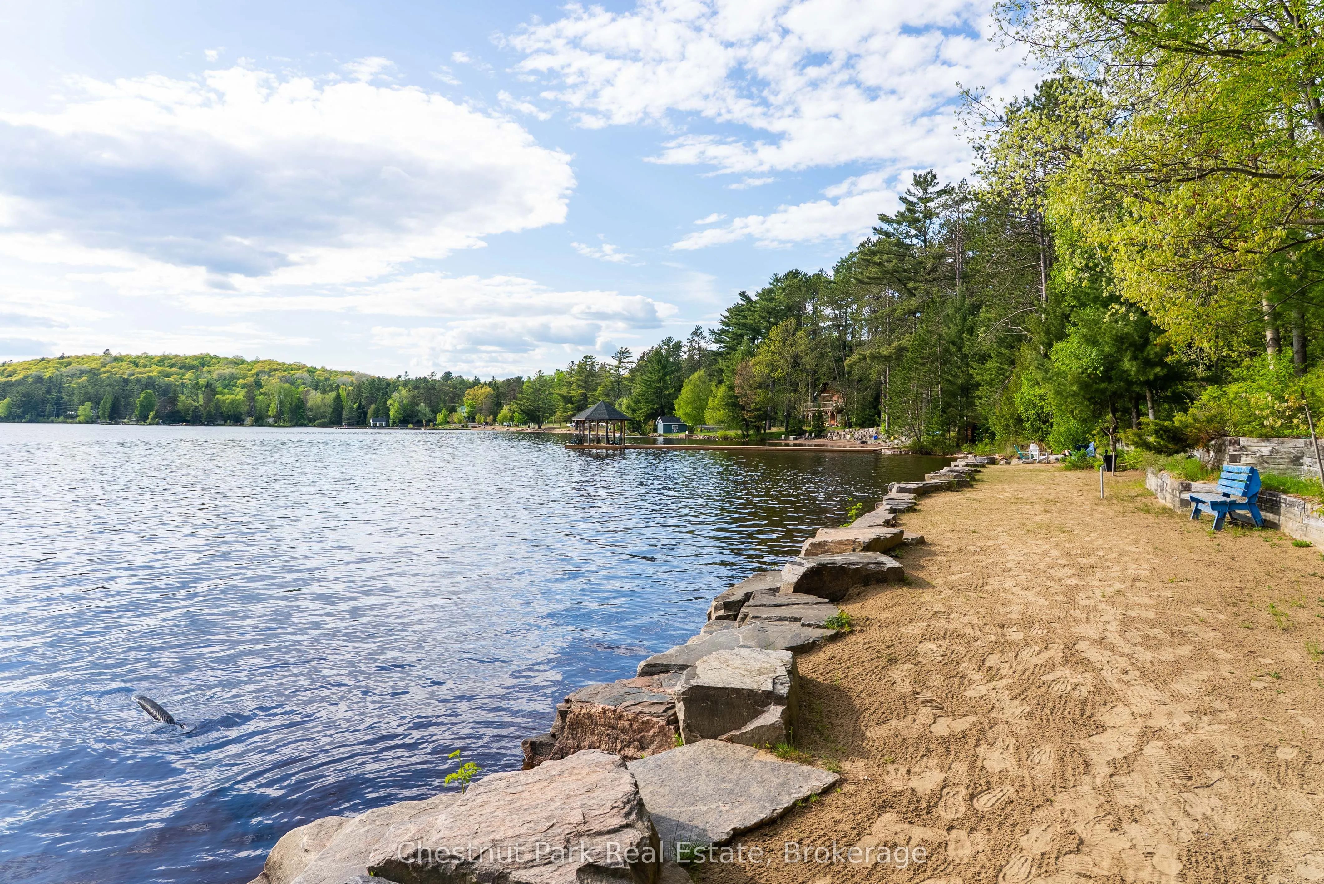 1091 Dwight Beach Road