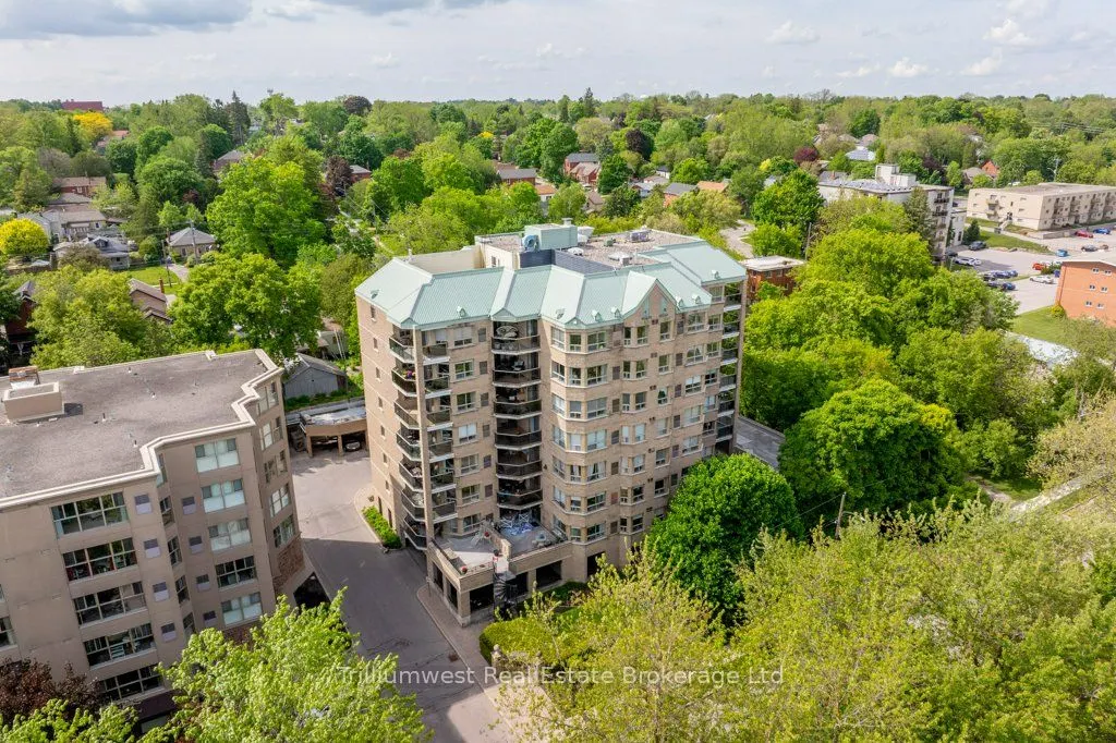 281 Bristol Street, #203
