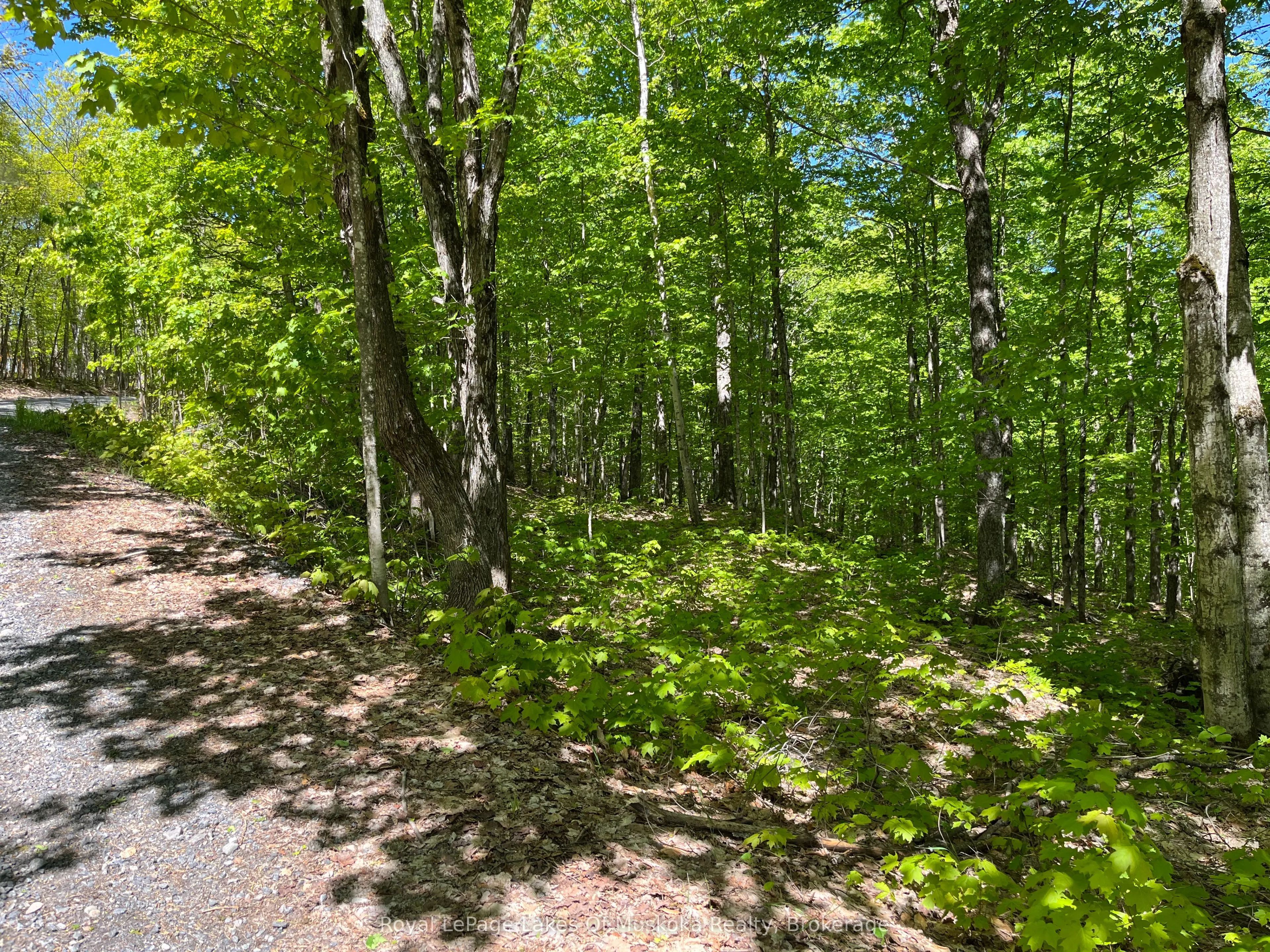 LOT 40 SUNSET Ridge